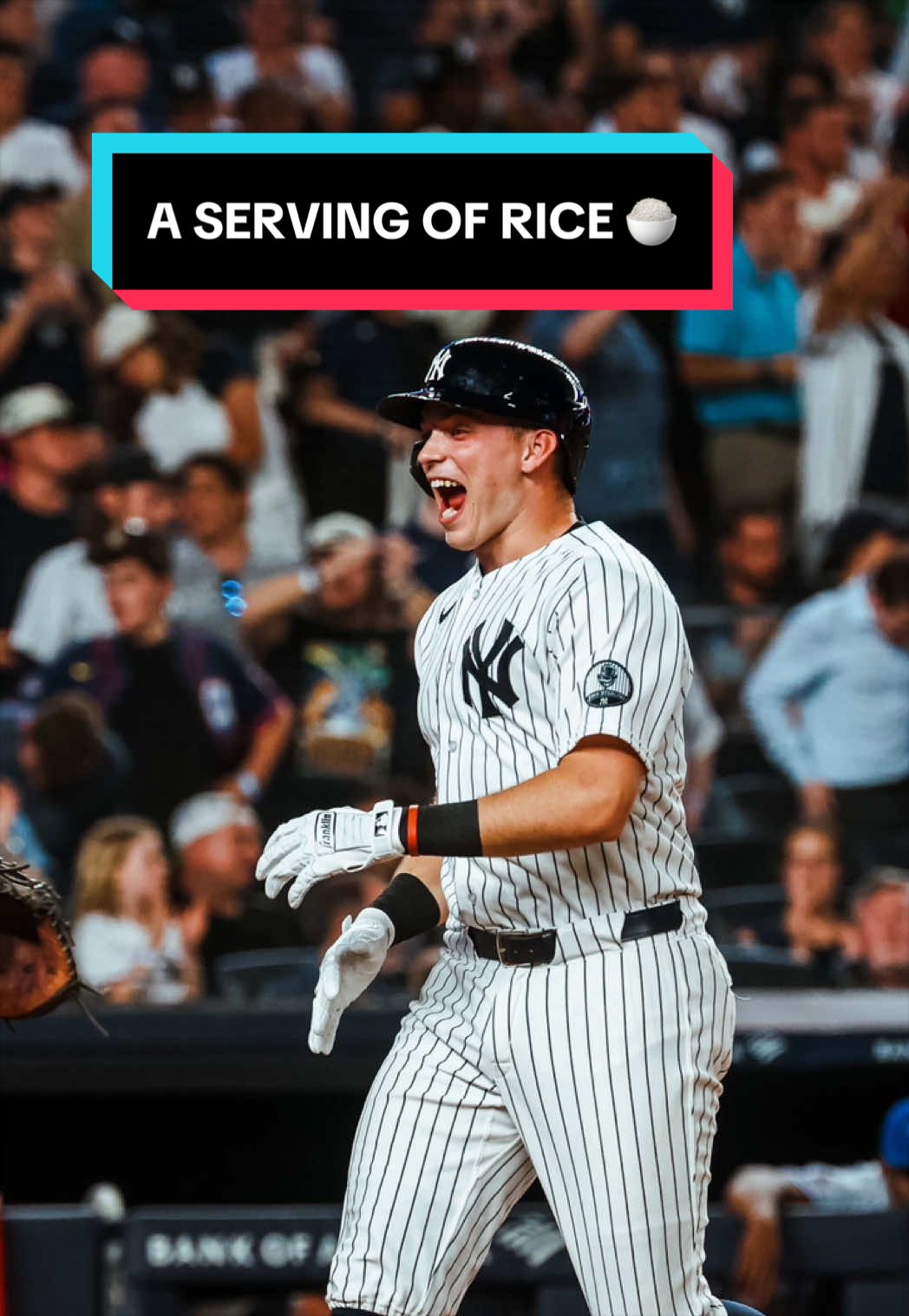 @Yankees