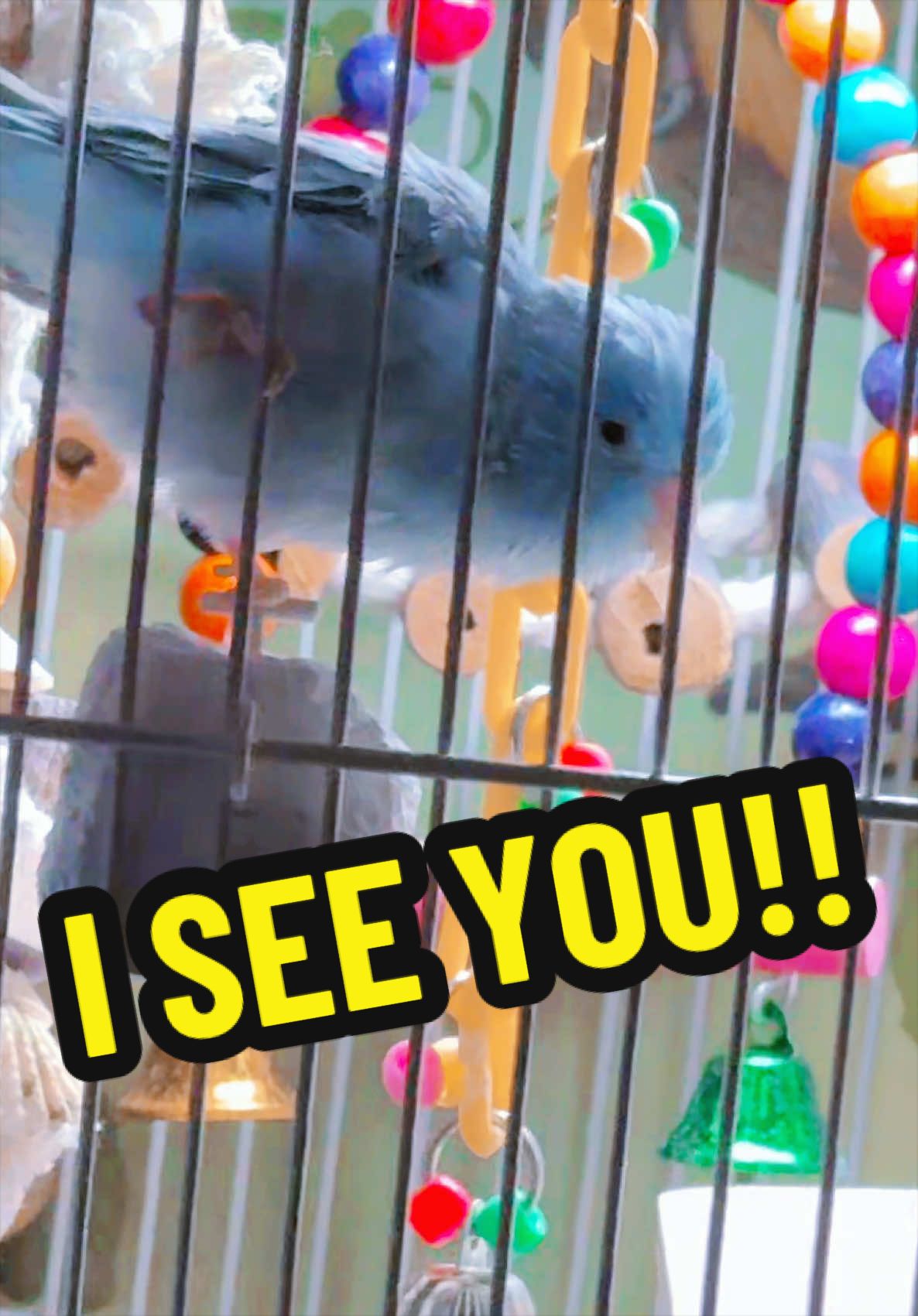 @Beaky