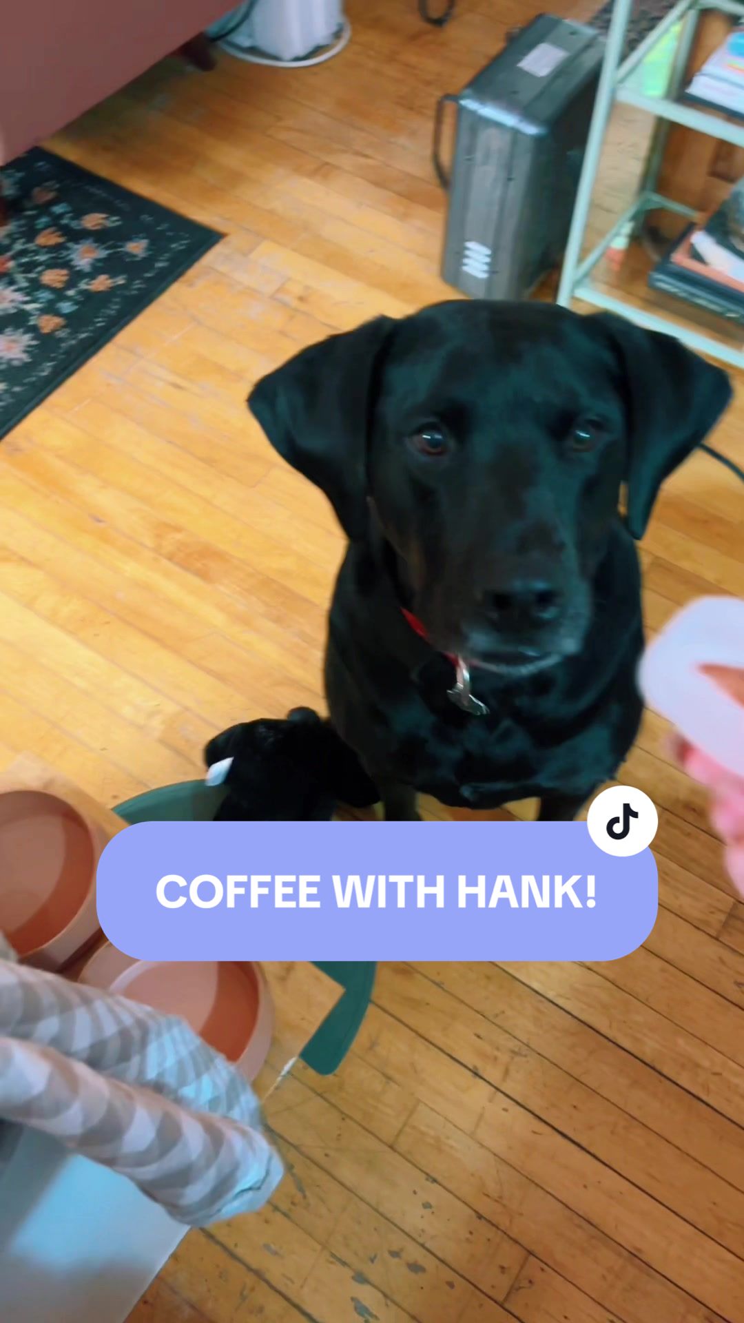 @Hank The Tank