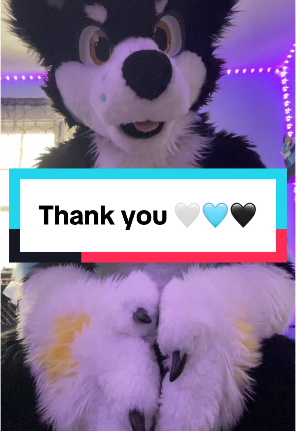 @⭐️KiwiFurSure⭐️