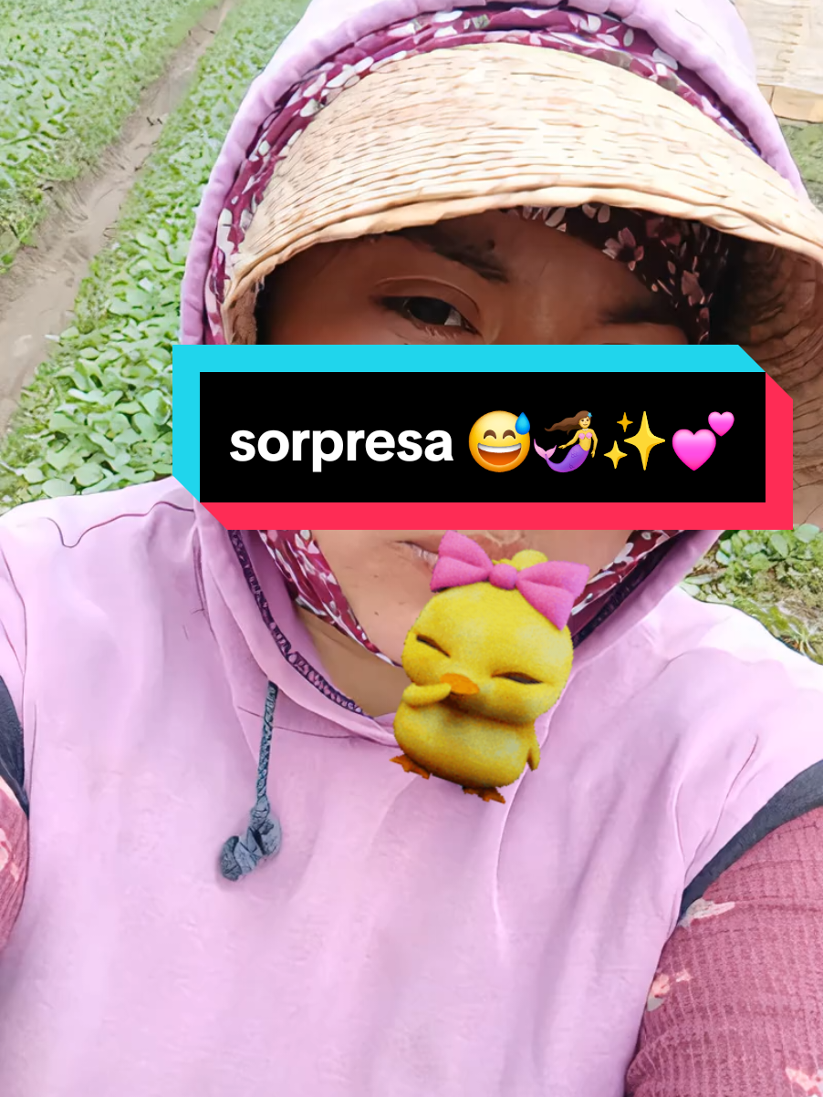 @Regi 💗