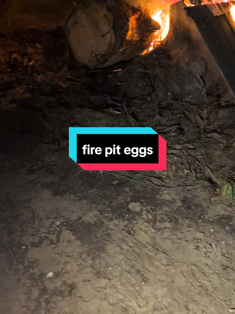 @Chickens & Bullies