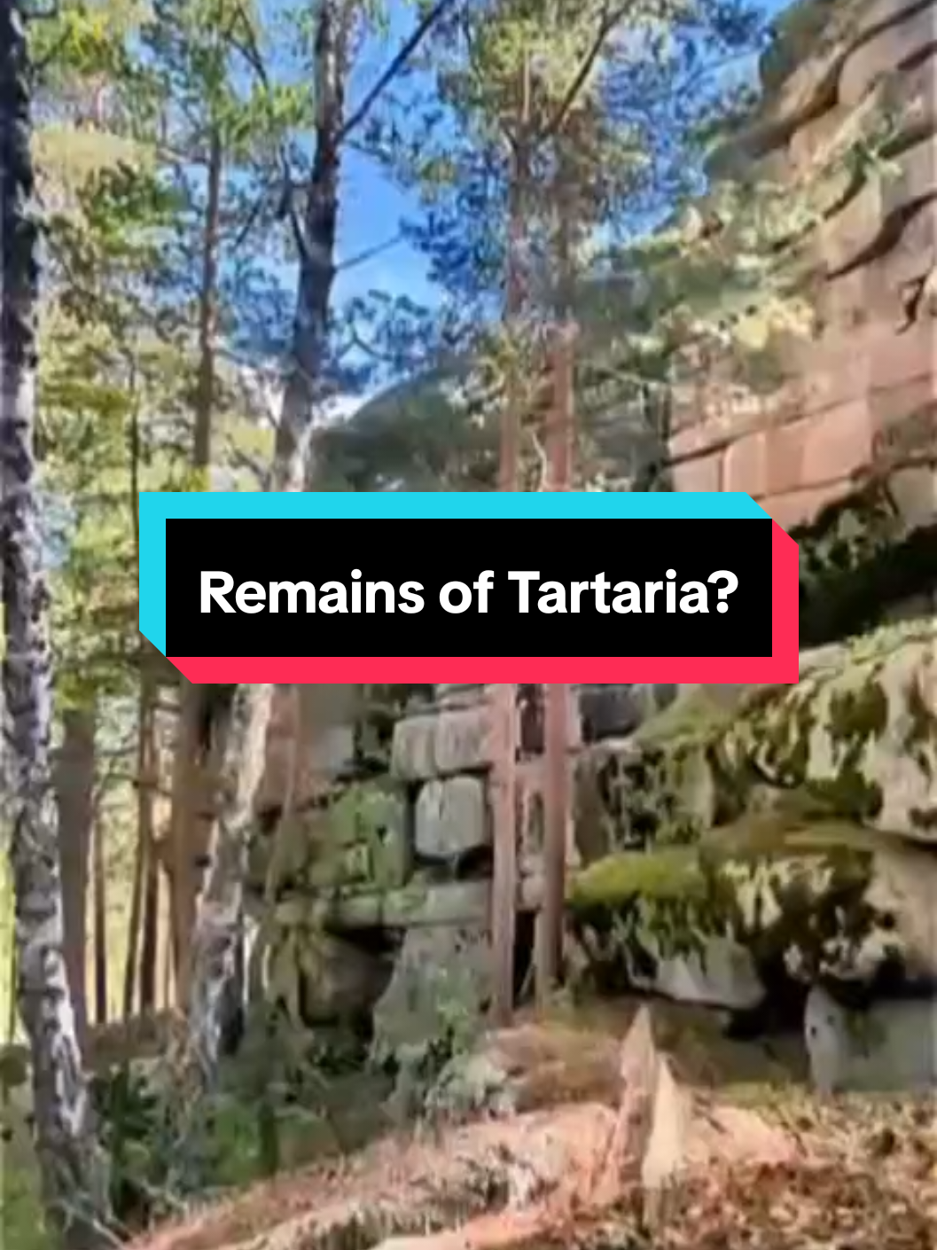 @thedoctorregenerated