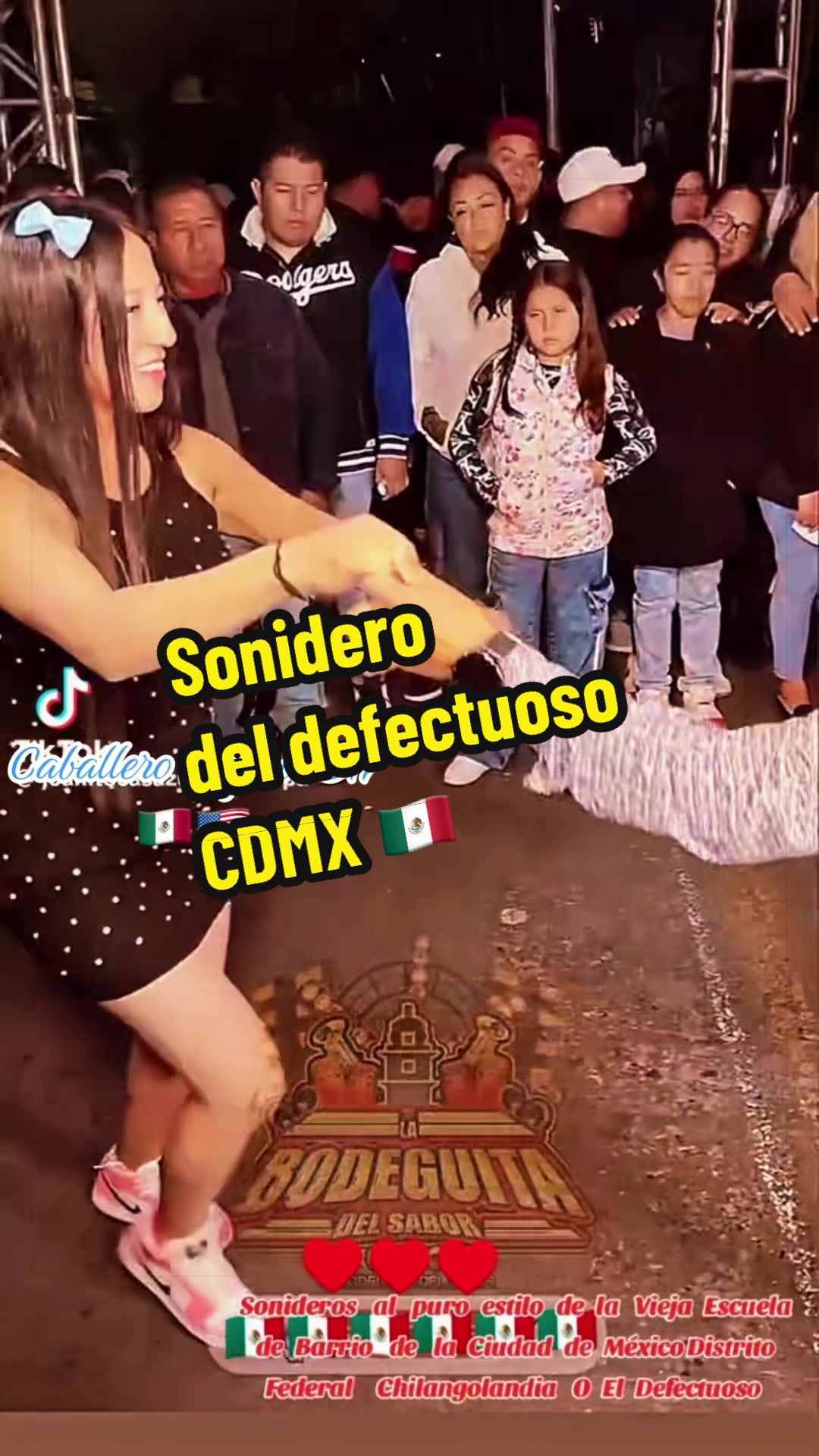 @caballeroviajero0317