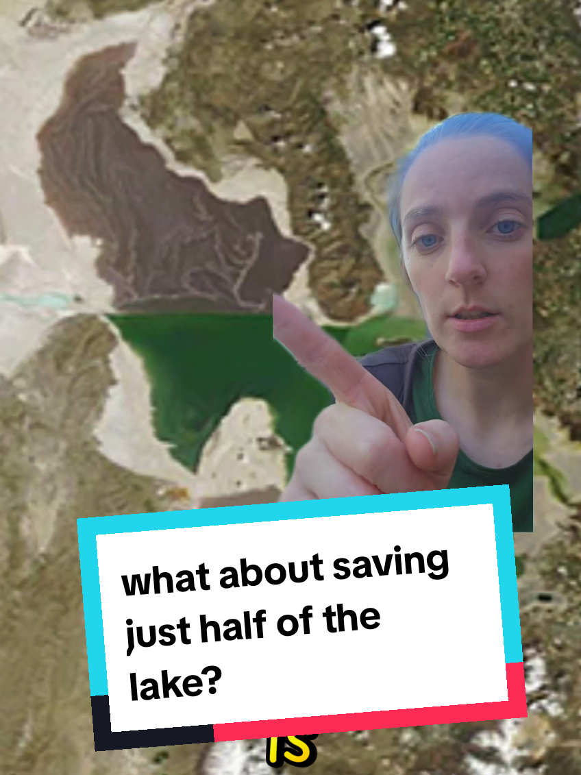 @LadyOfTheGreatSaltLake