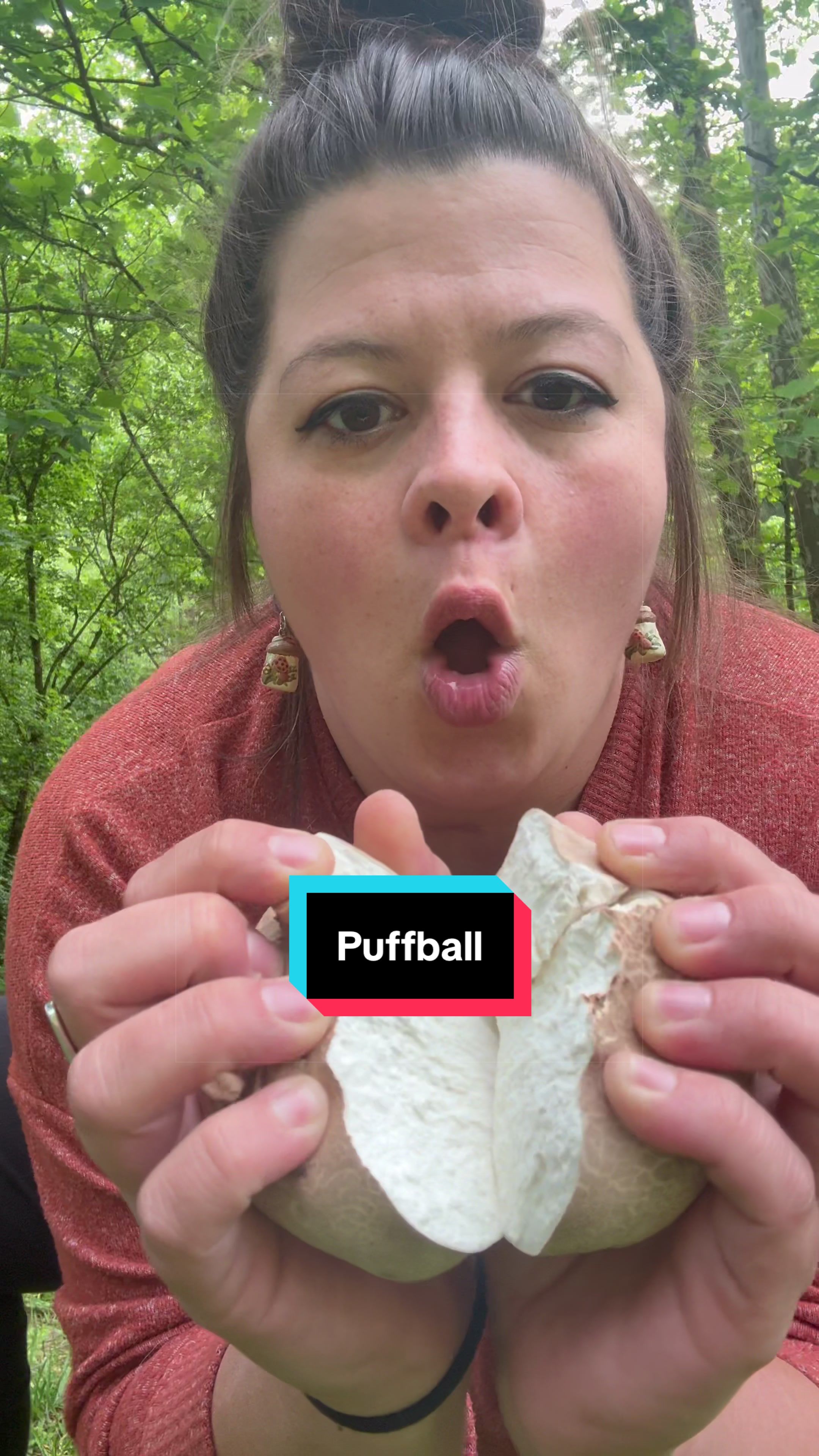 @Whitney 🍄