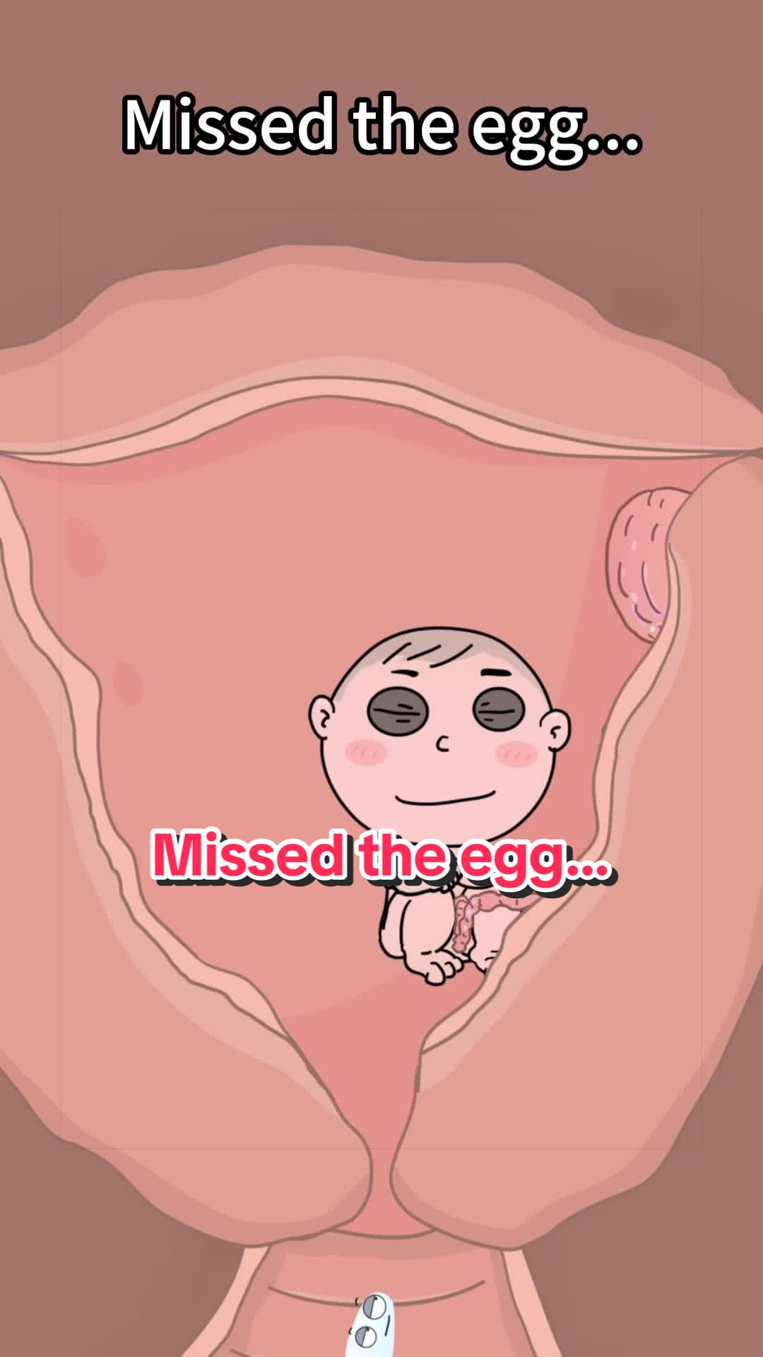 @Funny Animations