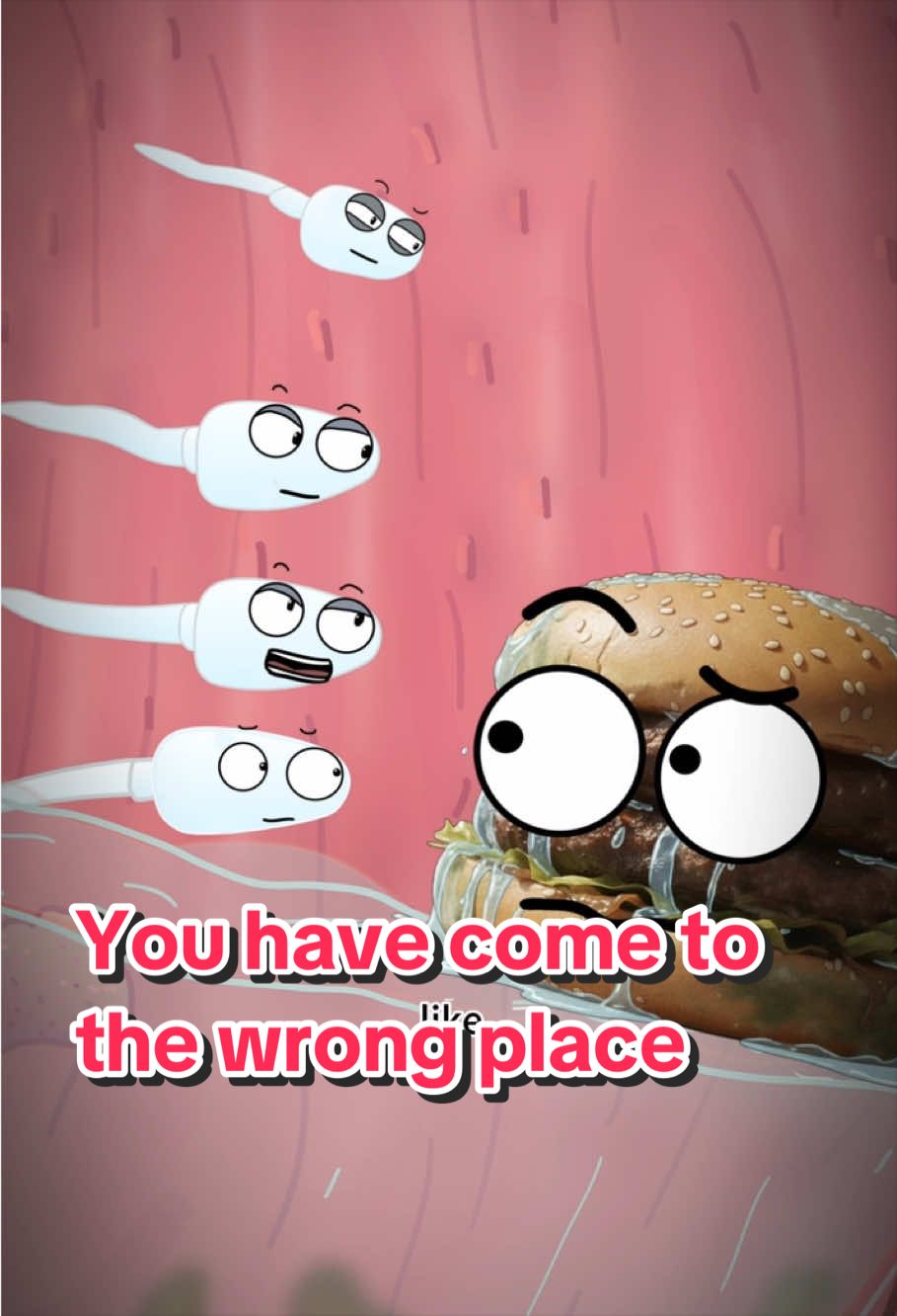 @Funny Animations