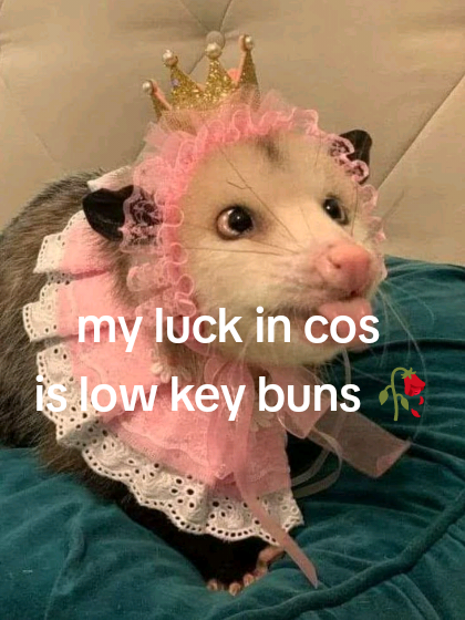 @♡SpookyOpossum♡