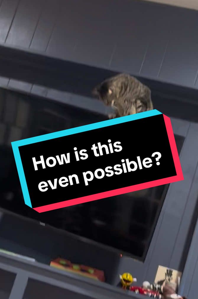 @TVDarryl