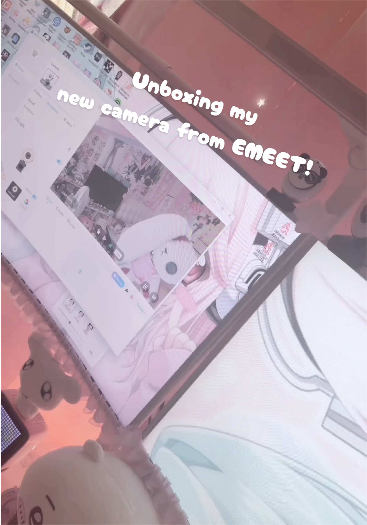 @/ᐠ ˵> ⩊ <˵マ