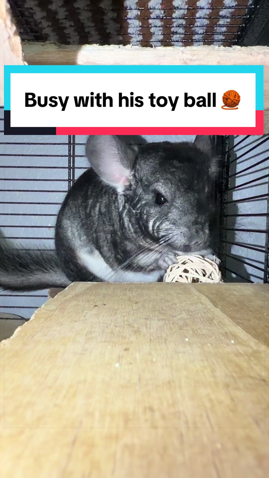 @bunsandhustles