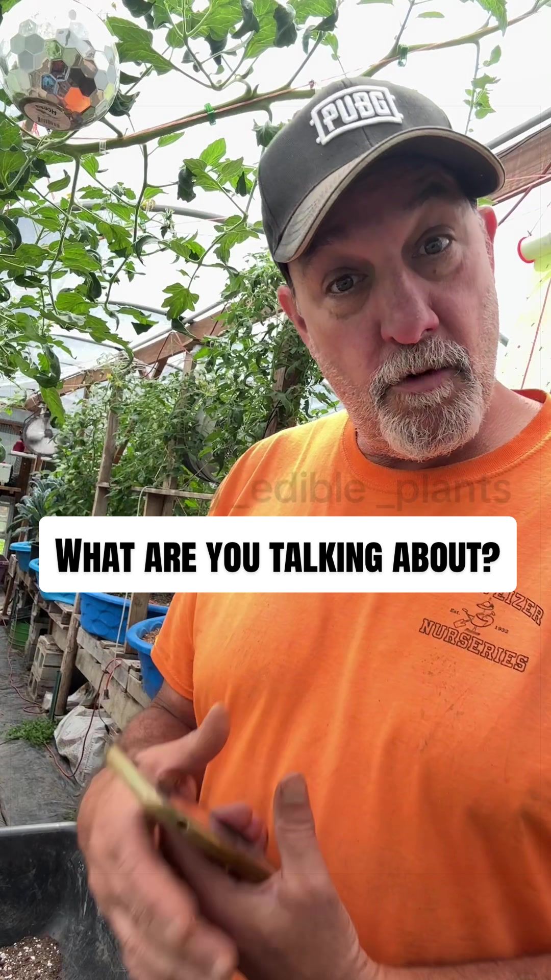 @GROWING_EDIBLE_PLANTS