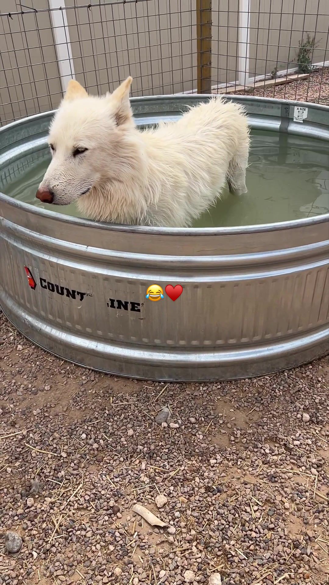 @KeeperOfTheWolves