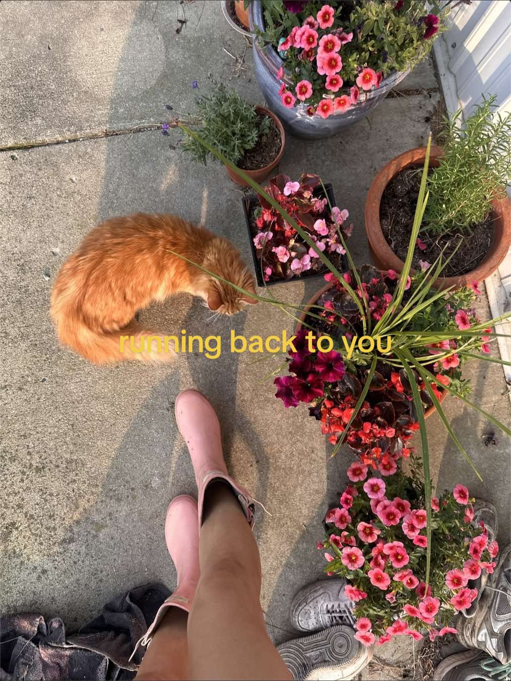 @𝔩𝔬𝔰𝔱𝔤𝔦𝔯𝔩𝔬𝔫𝔢𝔞𝔯𝔱𝔥