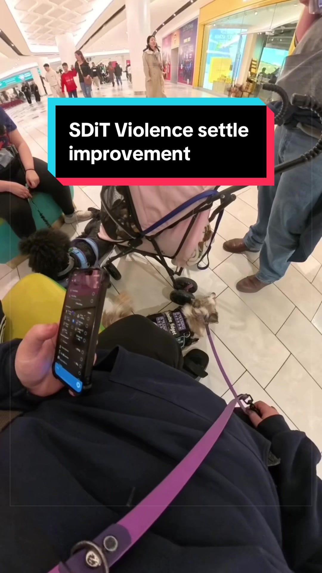@Dakota & Pups