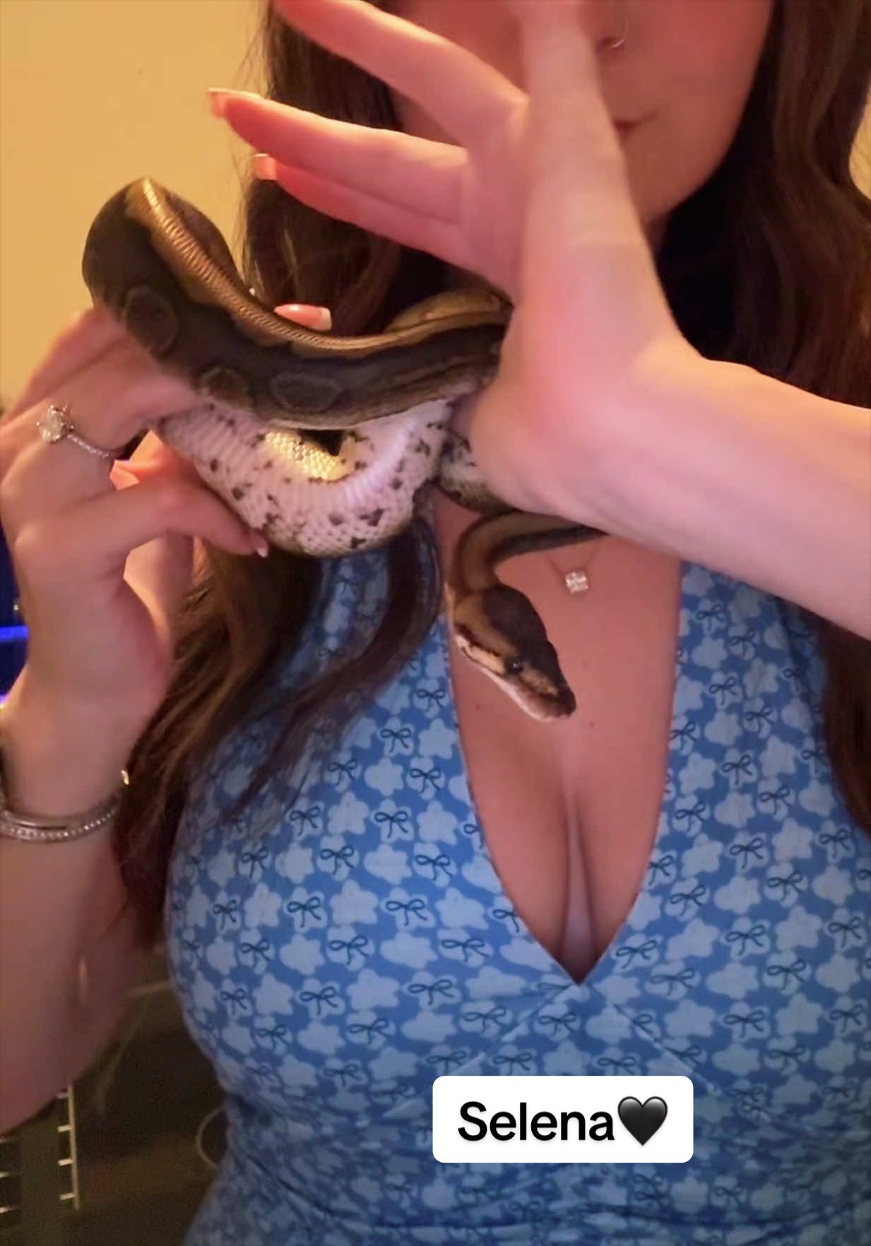 @courtneyscoldbloods