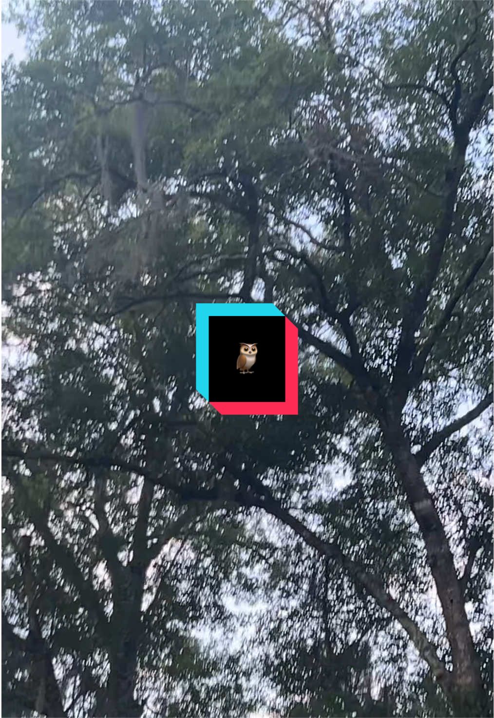 @E113 🐦&zwj;⬛✨