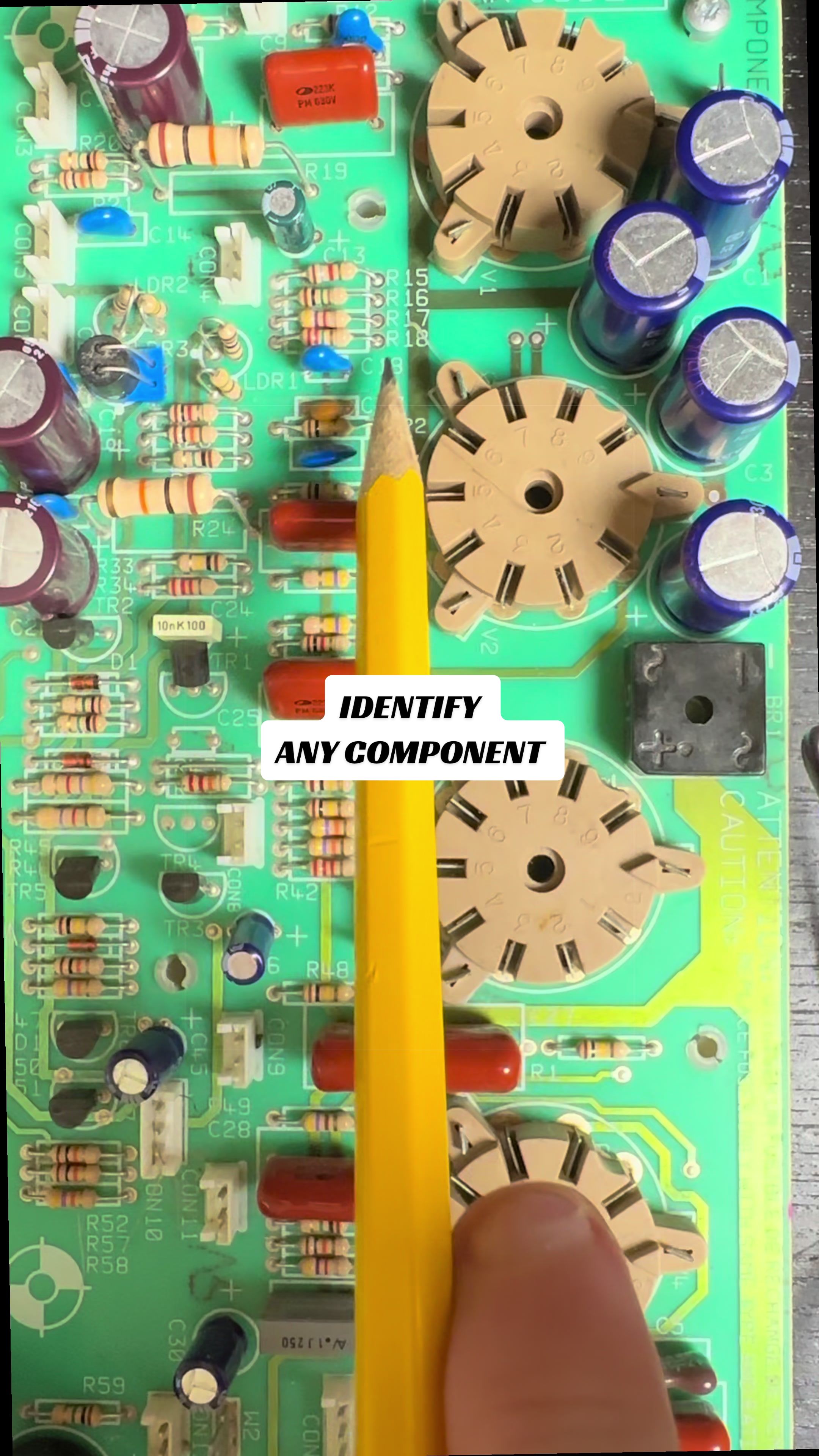@Miss Shy | Instrument Repair