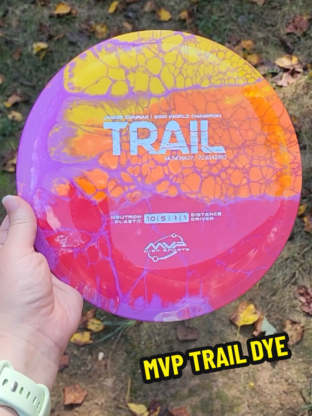 @DiscDyesByMelissa