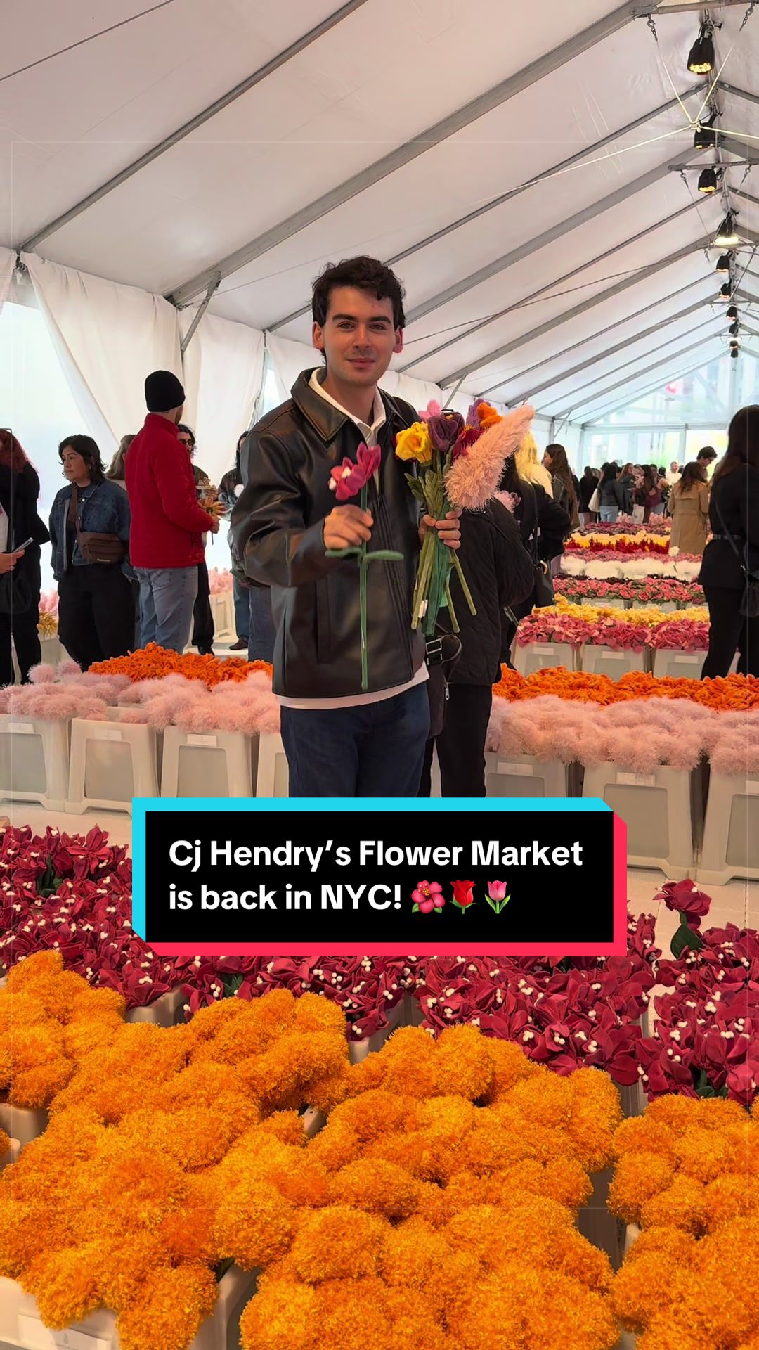 @Anders | NYC & Travel