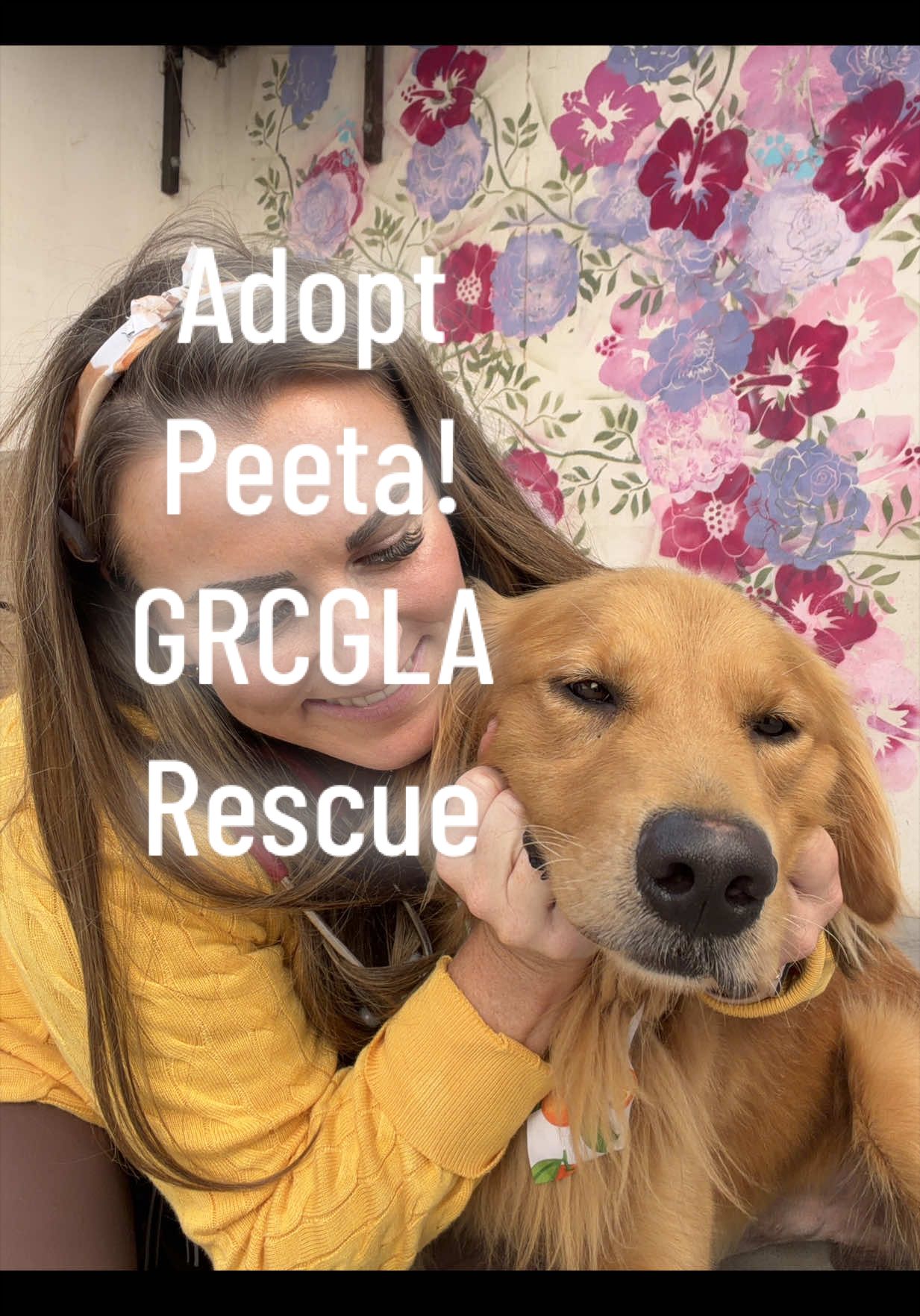@drcaitlinveterinarian