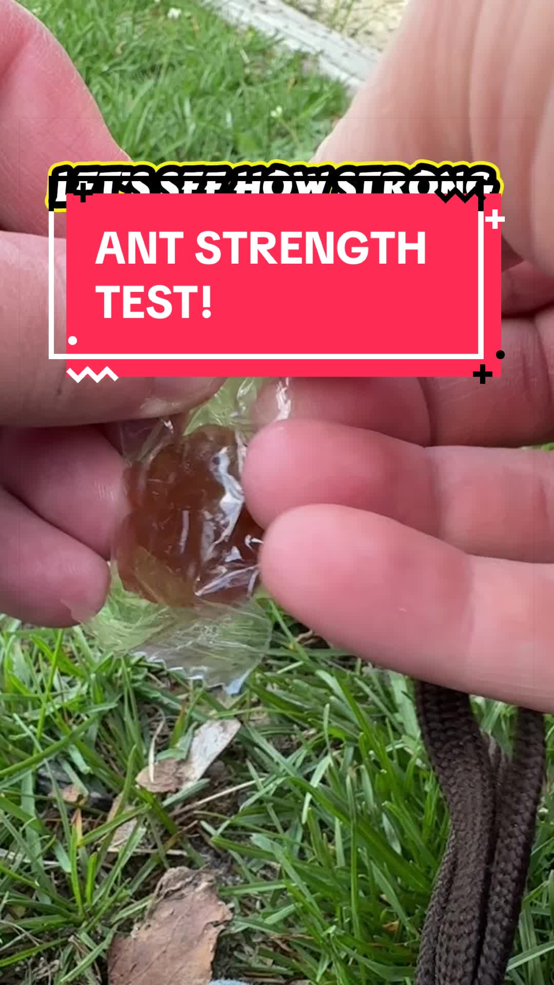 @DoctorBugz