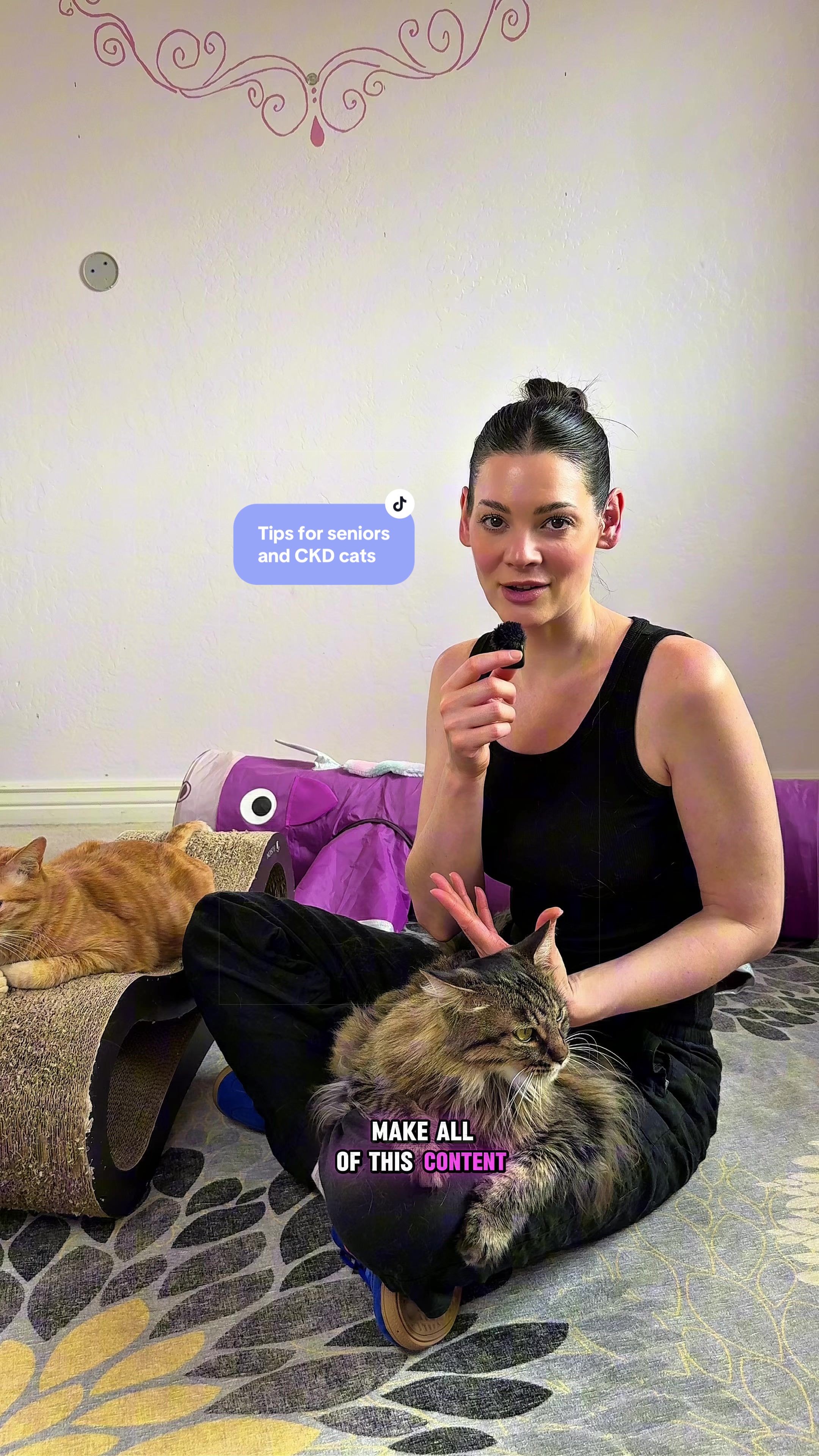 @Feminist Kitty | Cat Nutrition
