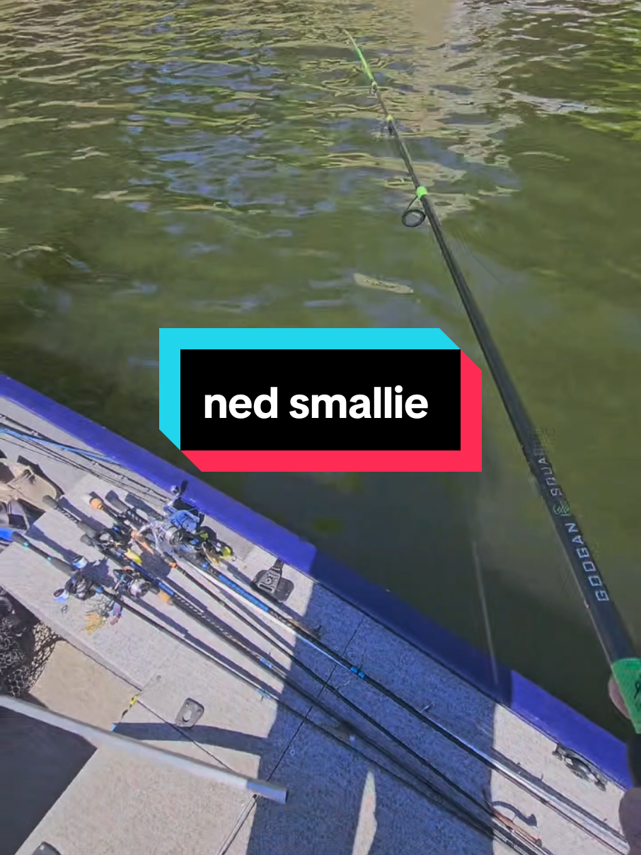 @SP_The_Ned_Master