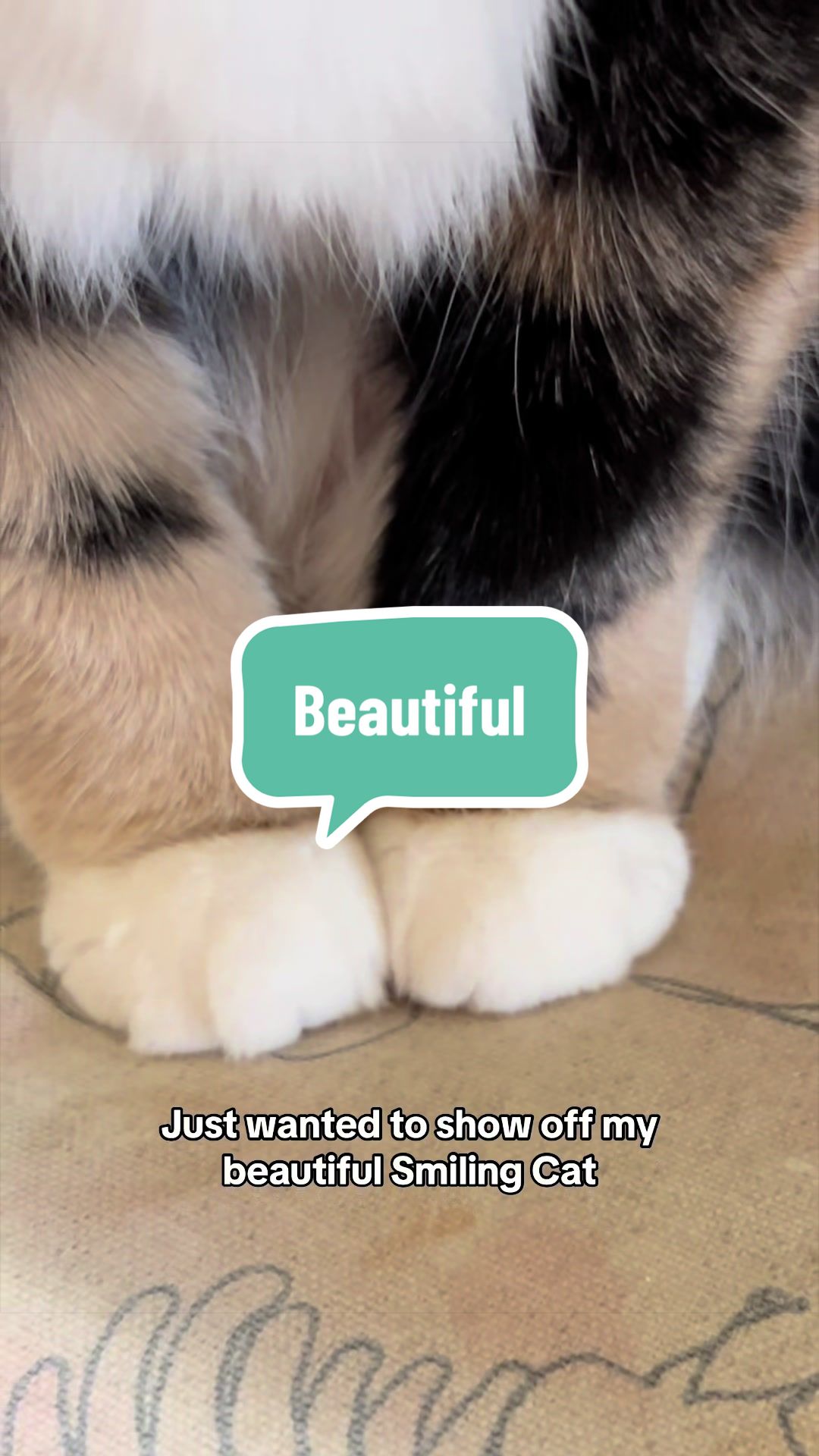 @SnickersTheSmilingCat