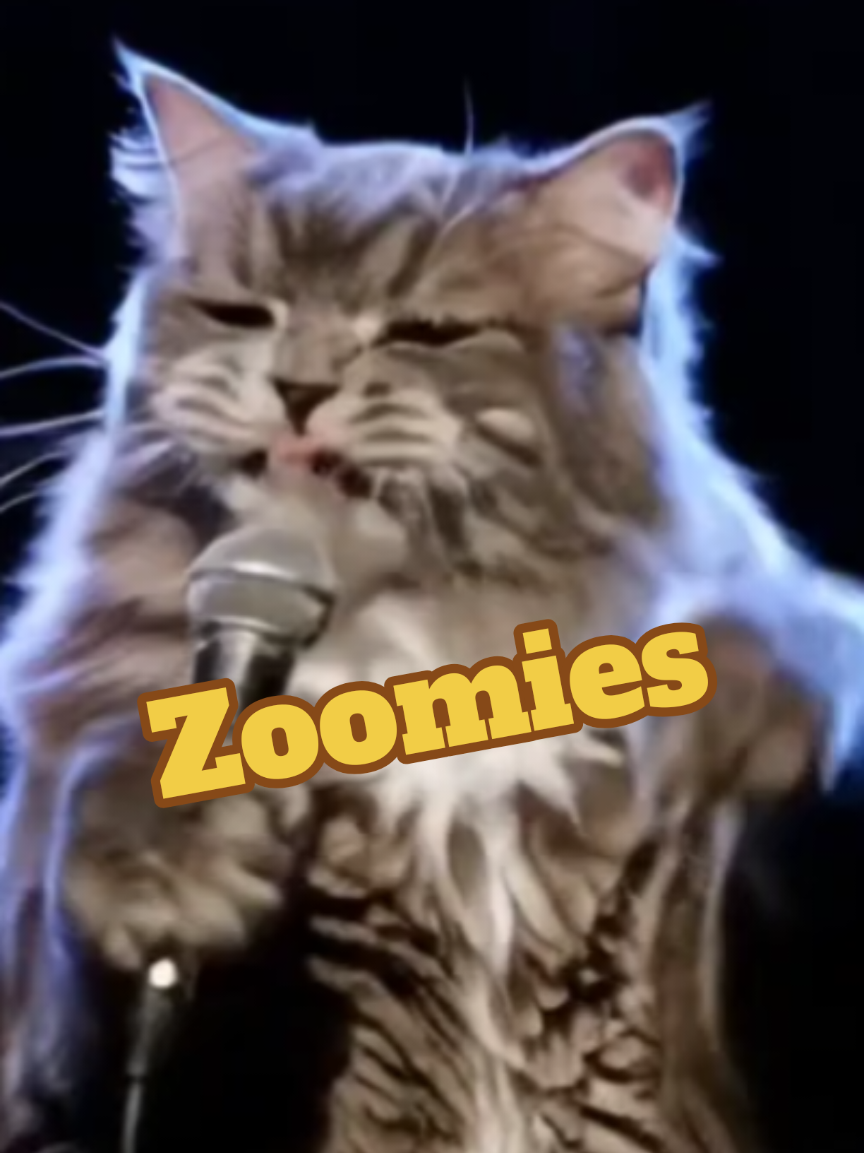 @comedyclubcats