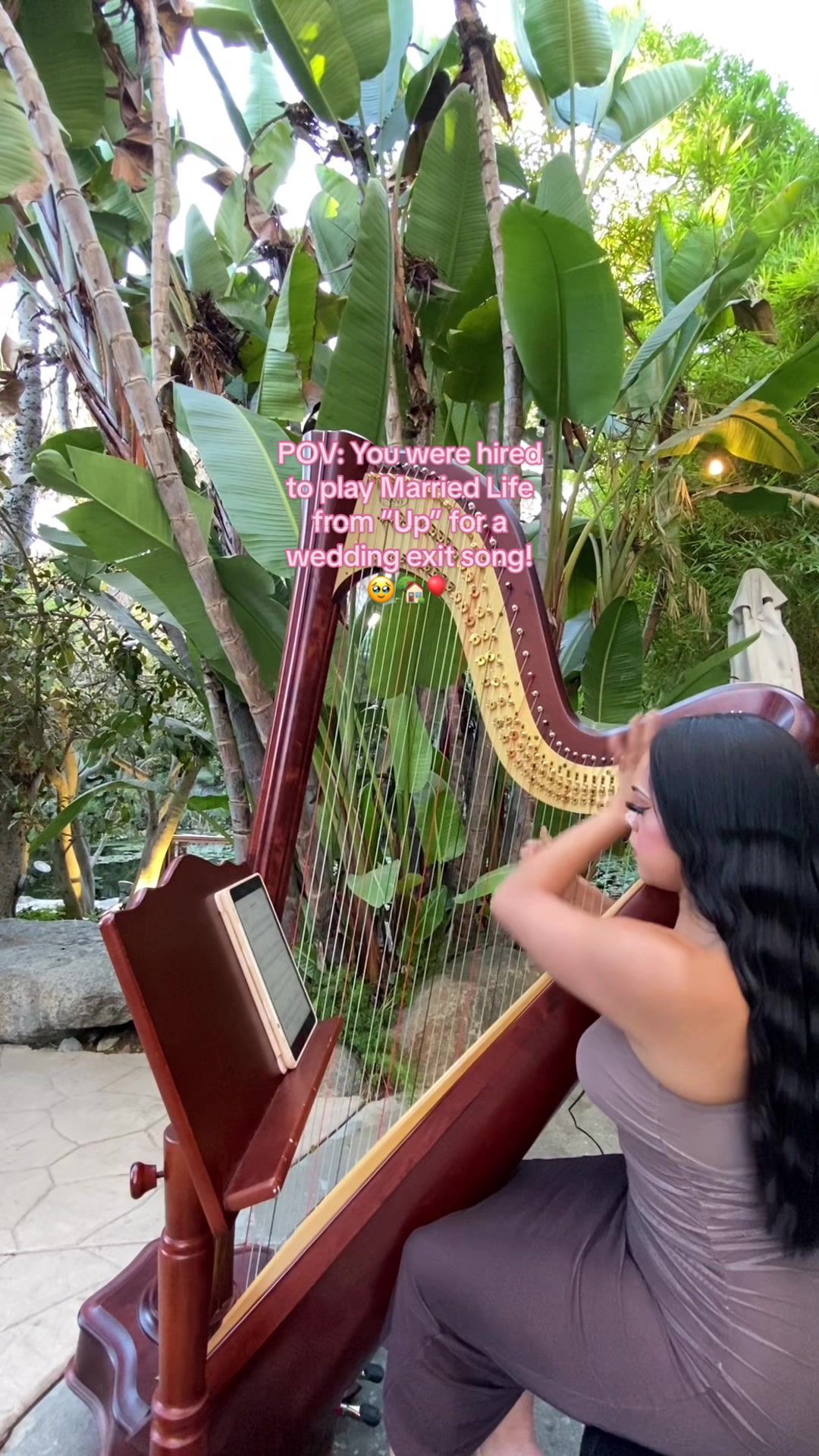 @betaniarodriguezharp