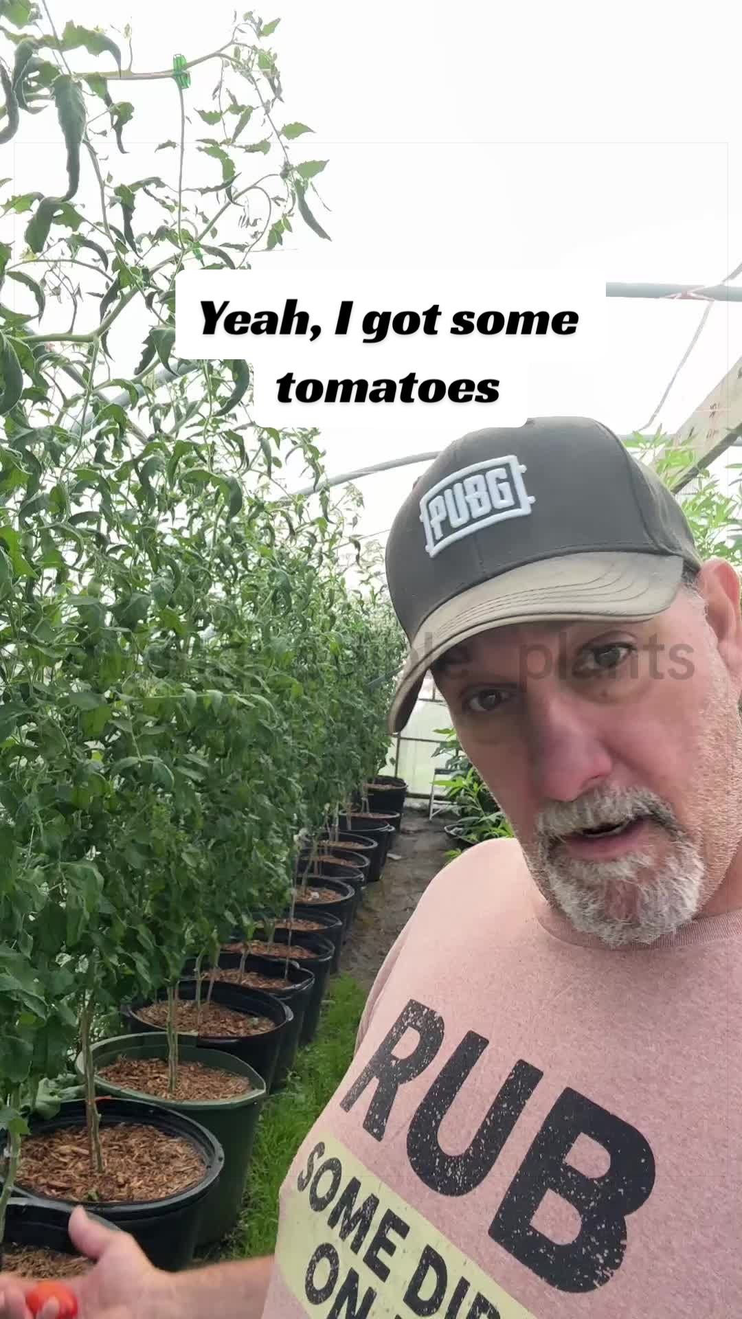 @GROWING_EDIBLE_PLANTS