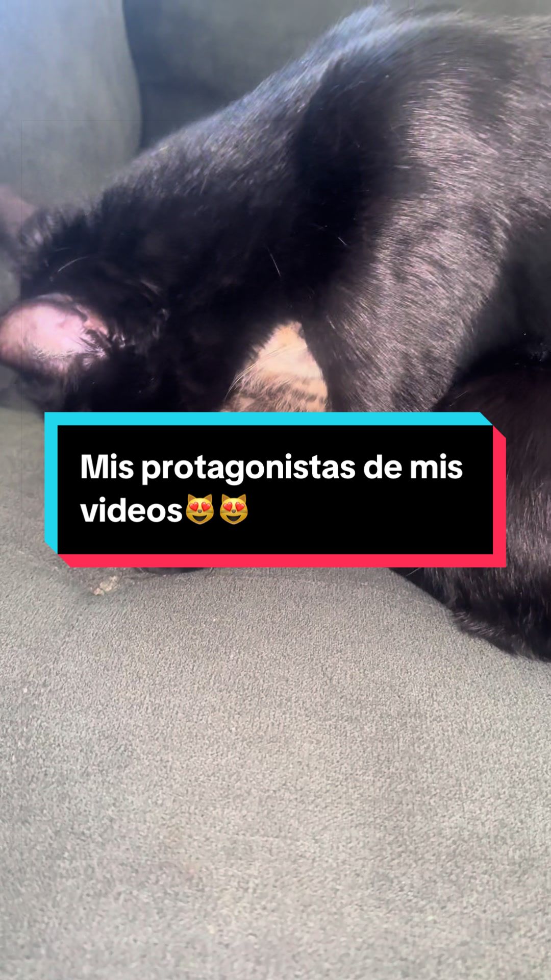 @nataly.831