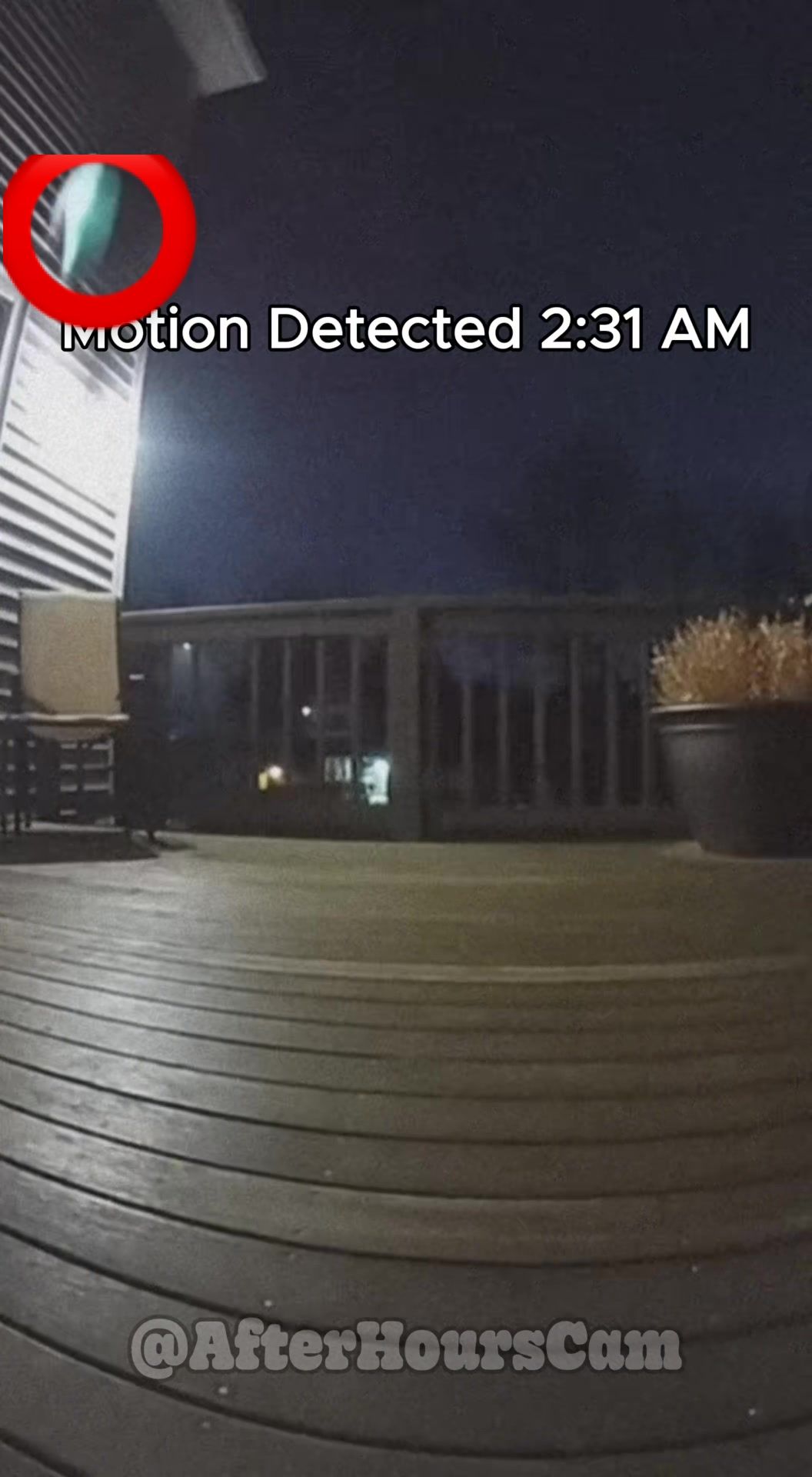 @afterhourscam