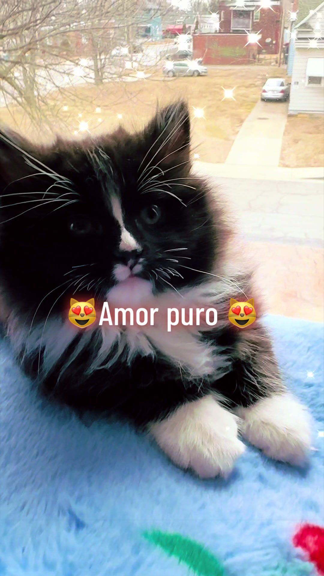 @My love