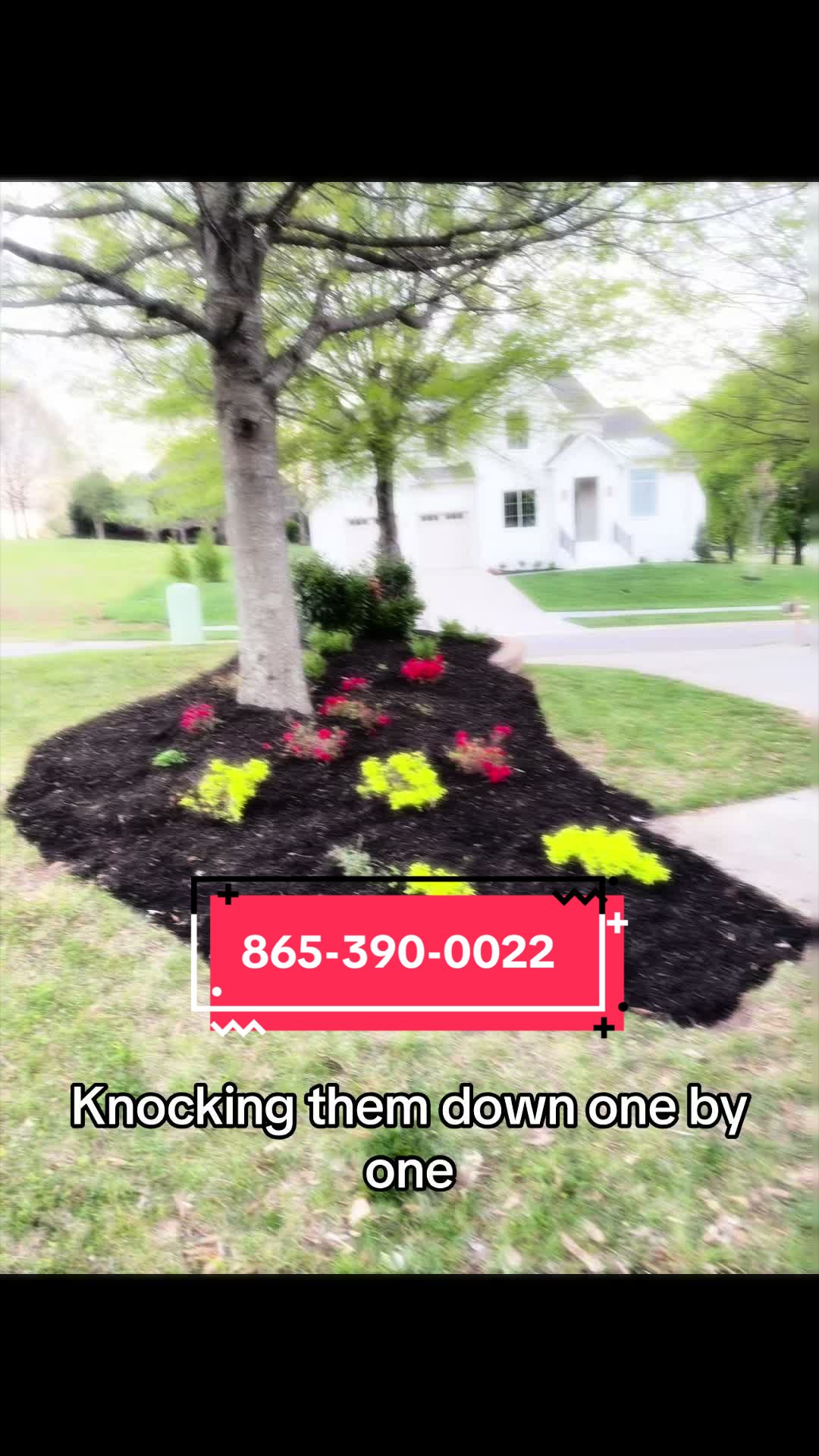 @Sanders Outdoor solutions