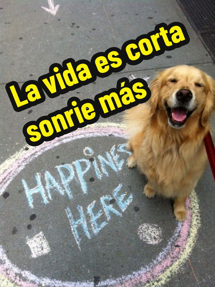 @Mi Rinc&oacute;n Favorito