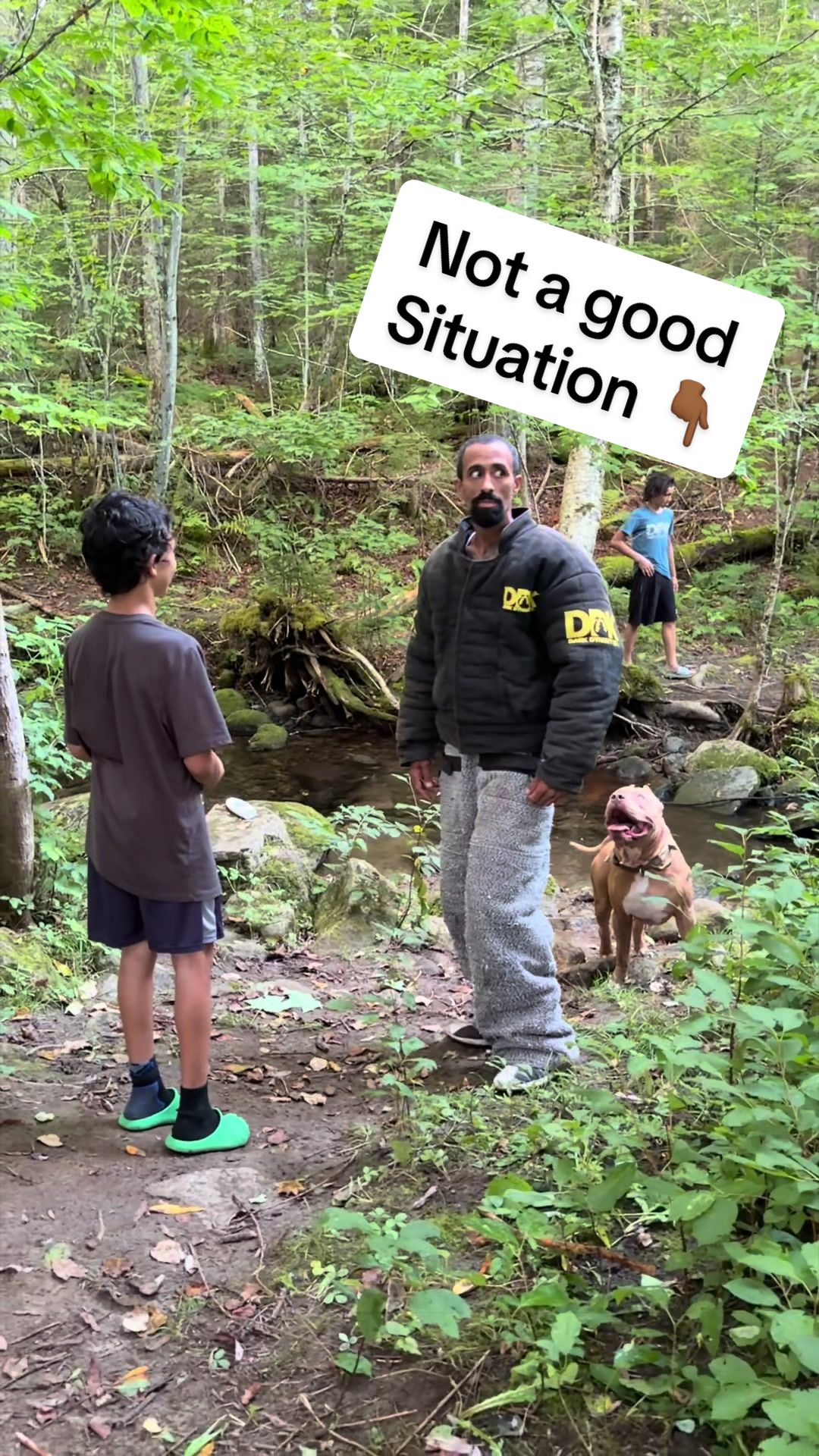 @DarkDynastyK9s