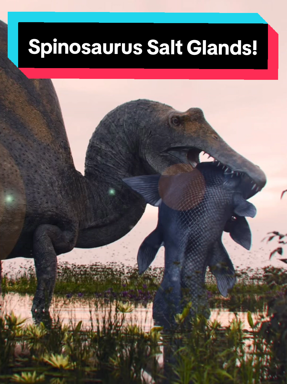 @The Dinosaur Man