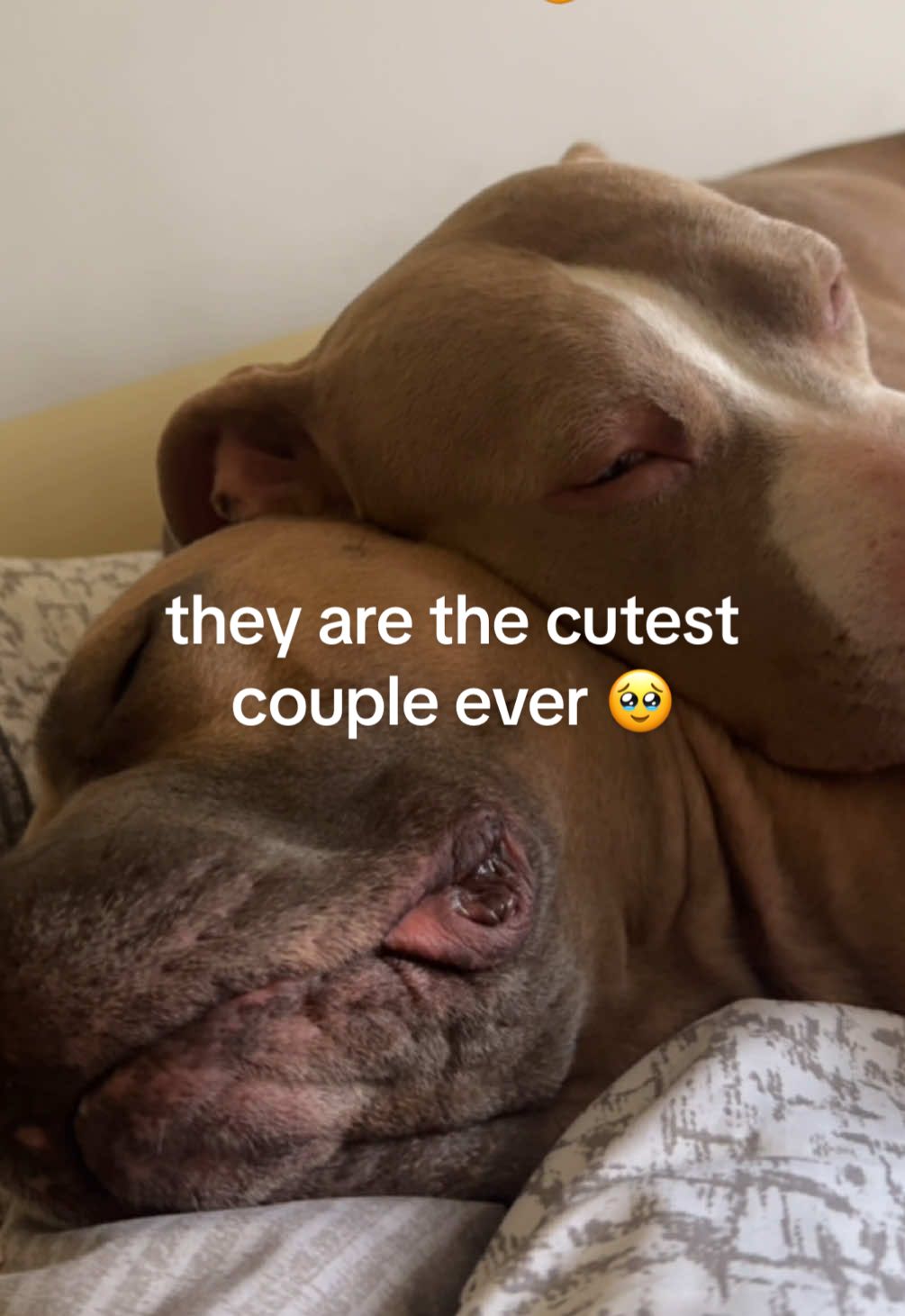 @ENZO AND LYZA 🌭
