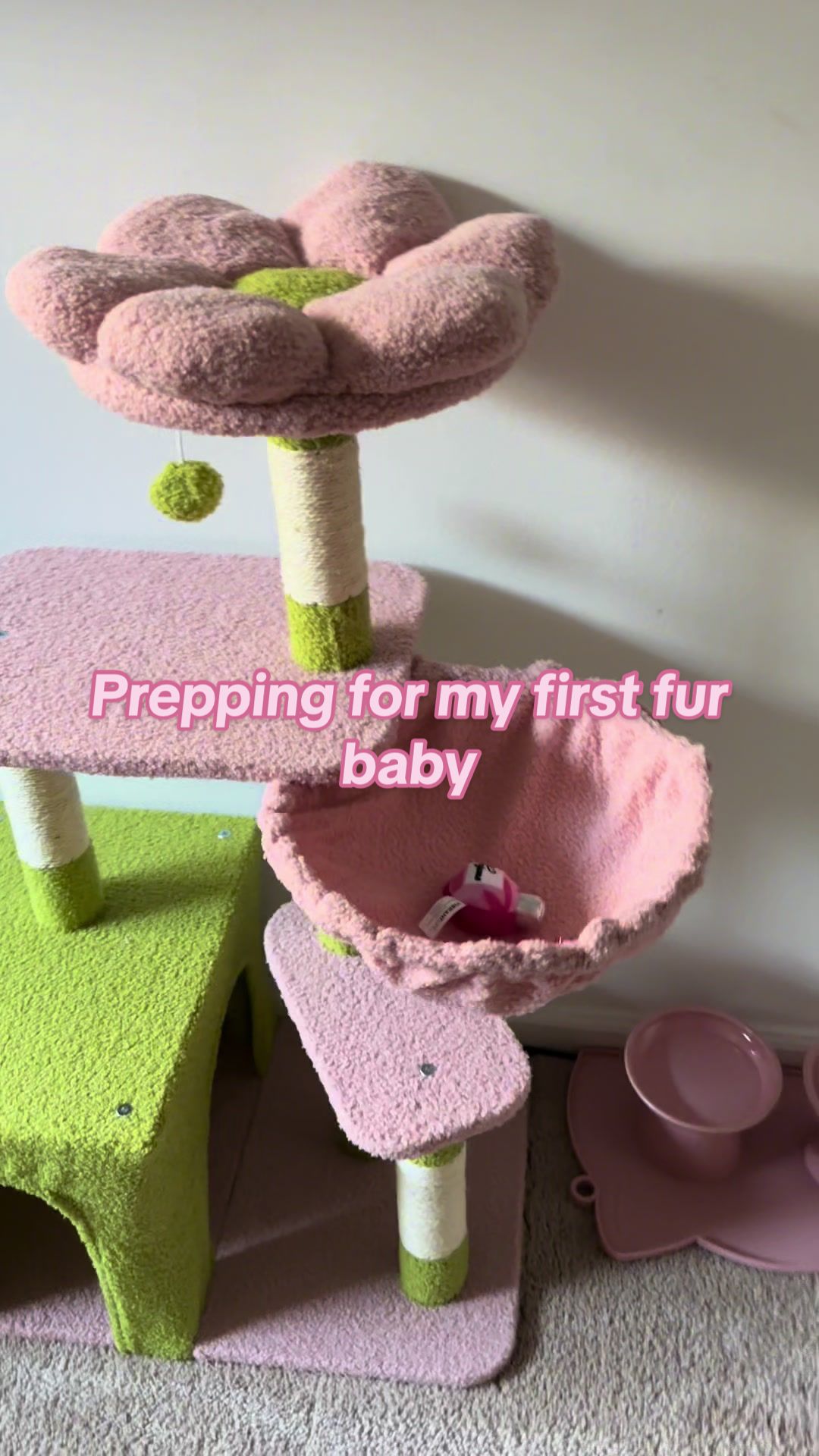 @Jay