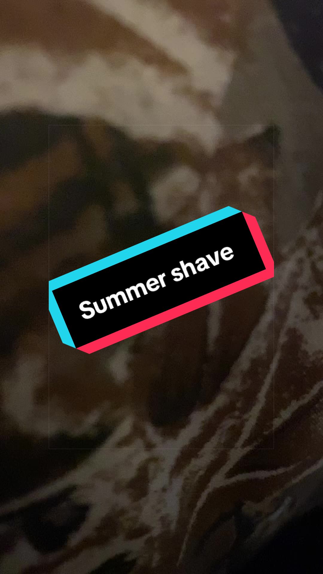 @BigMatt1225 🇺🇸