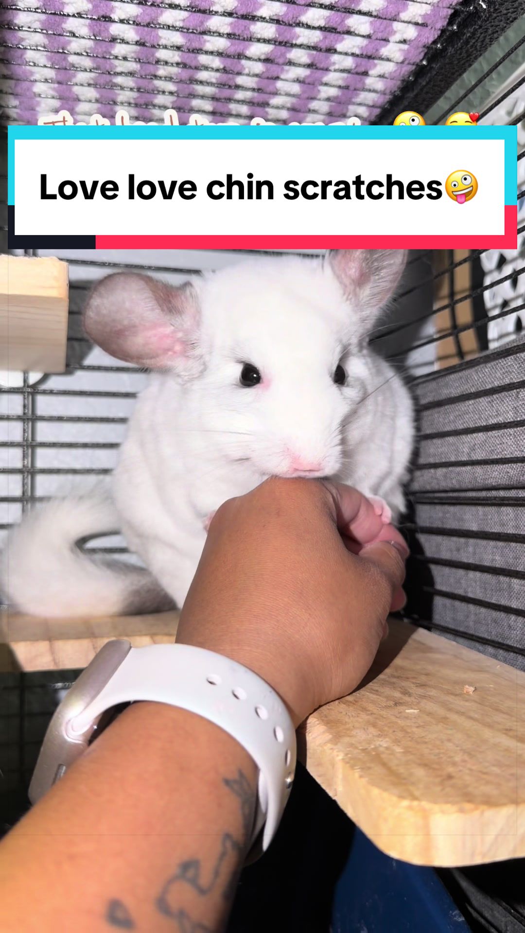 @bunsandhustles