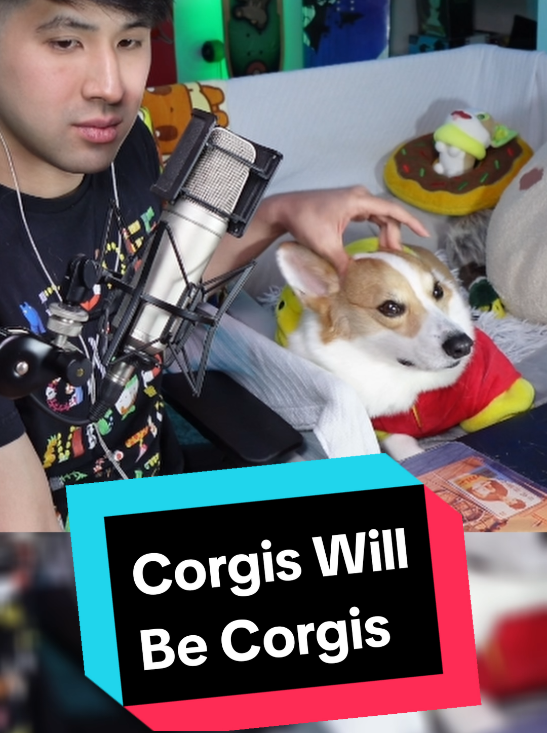 @Protocorg | Twitch Streamer