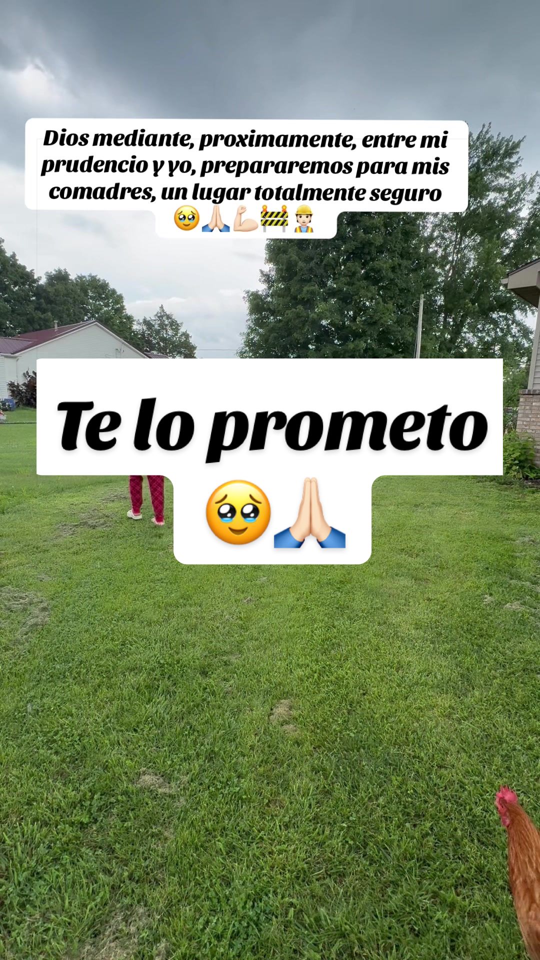 @Elianne Martinez