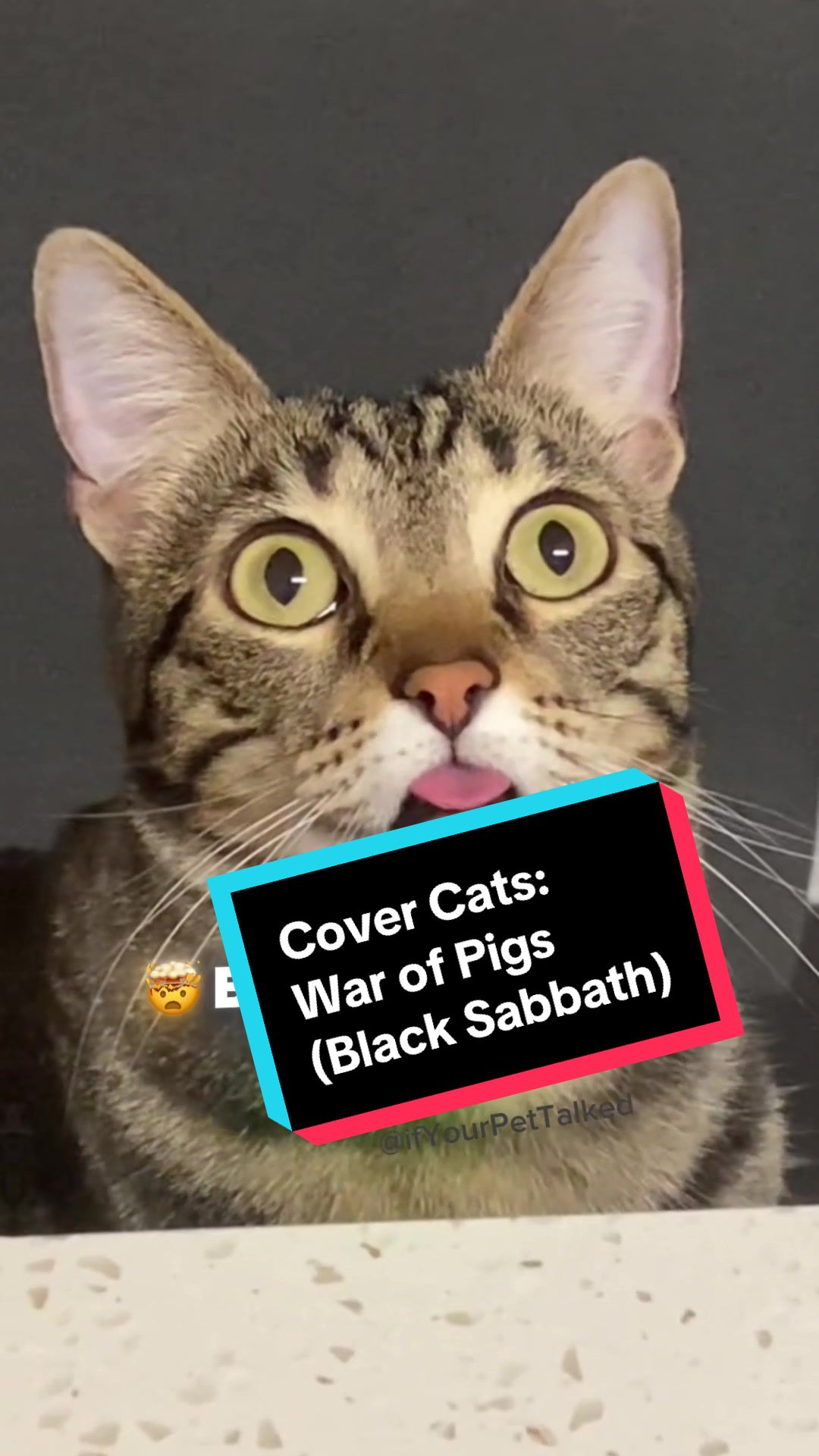 @If Your Pet Talked