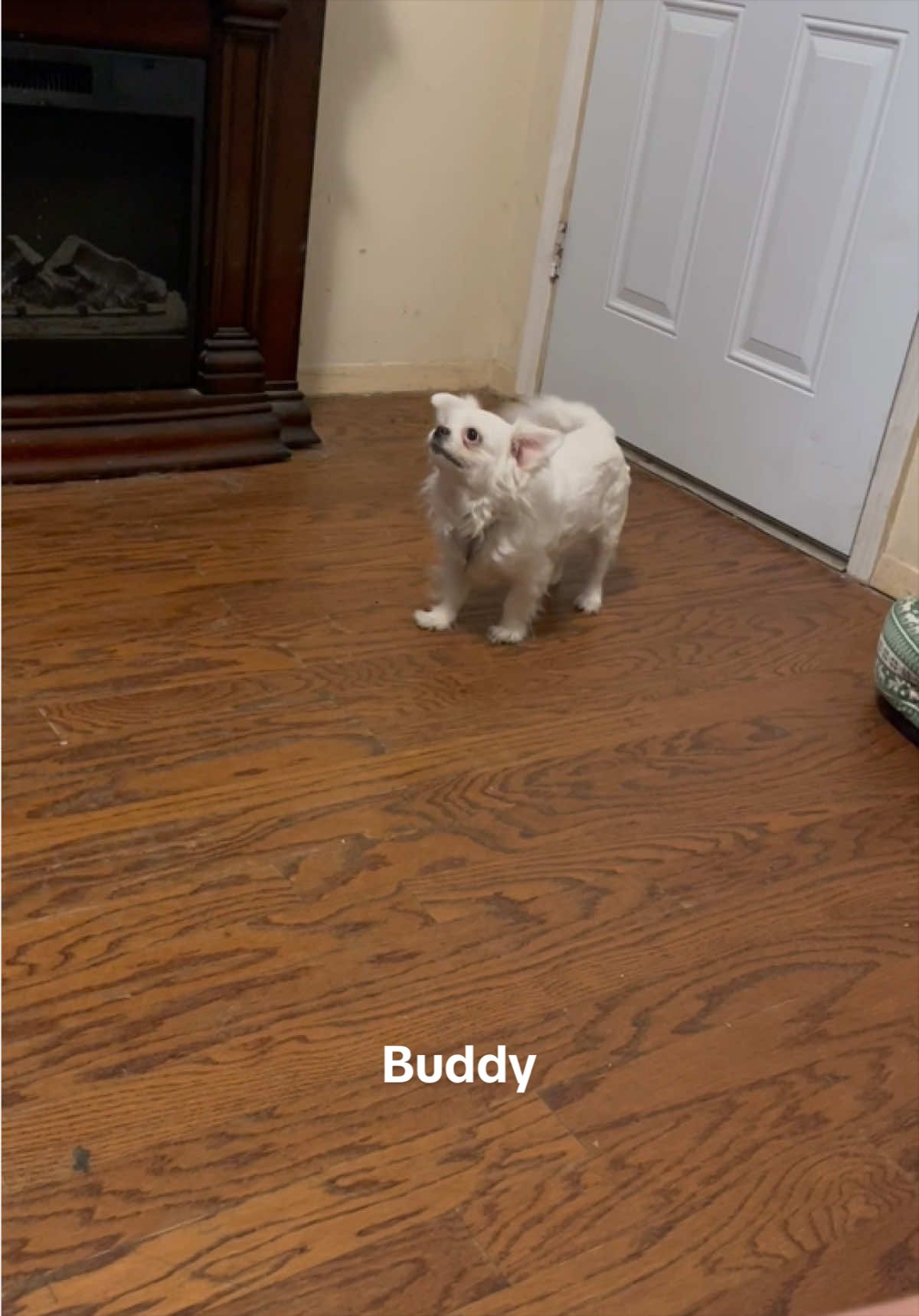 @MississippiMama