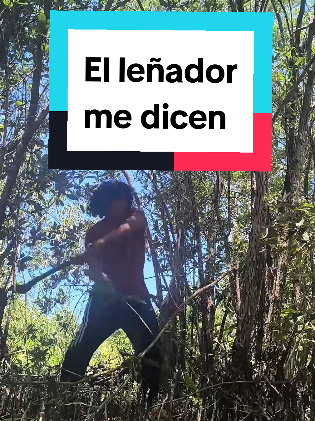 @El Wiicho