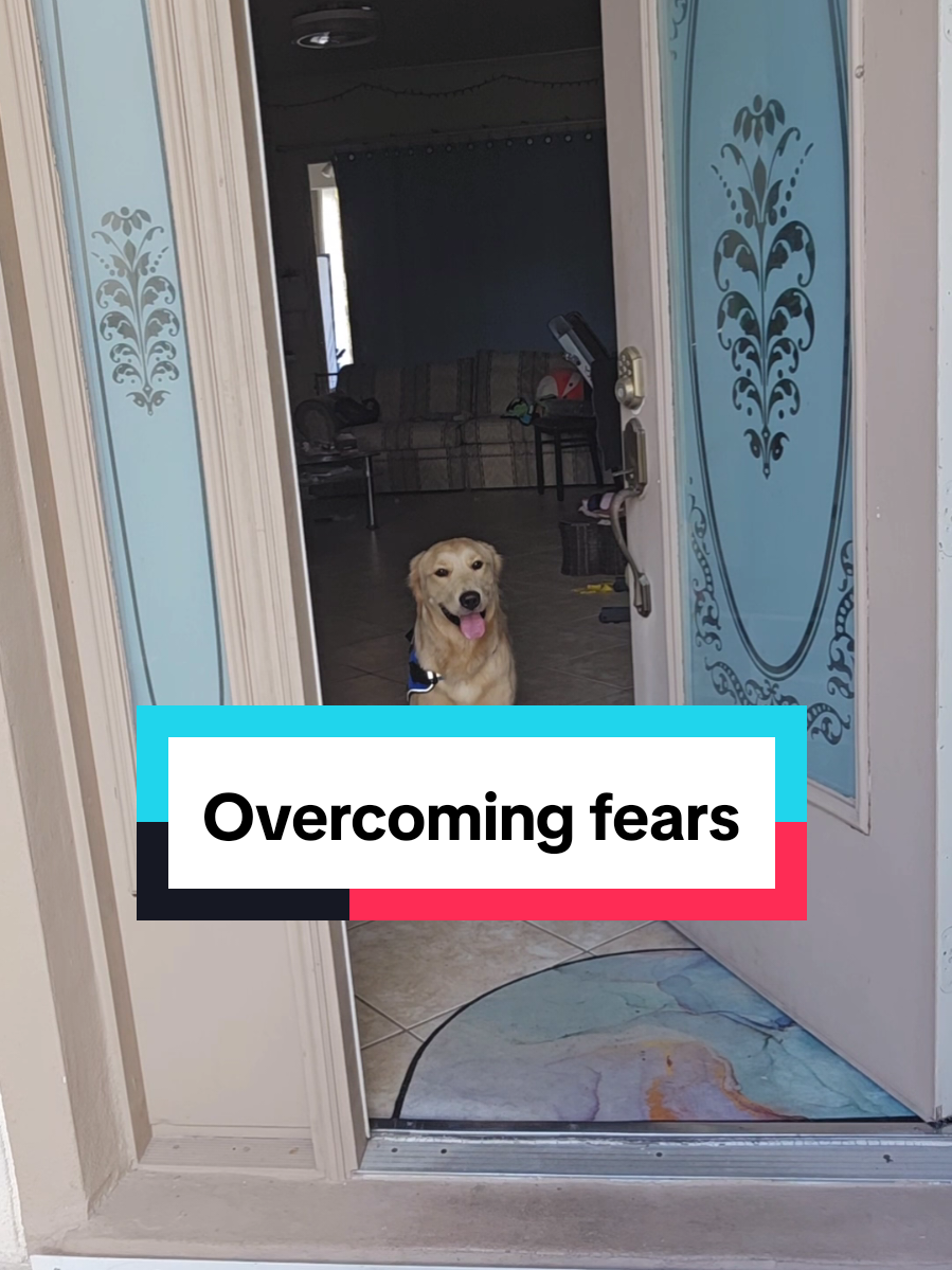 @Moon and Apollo
